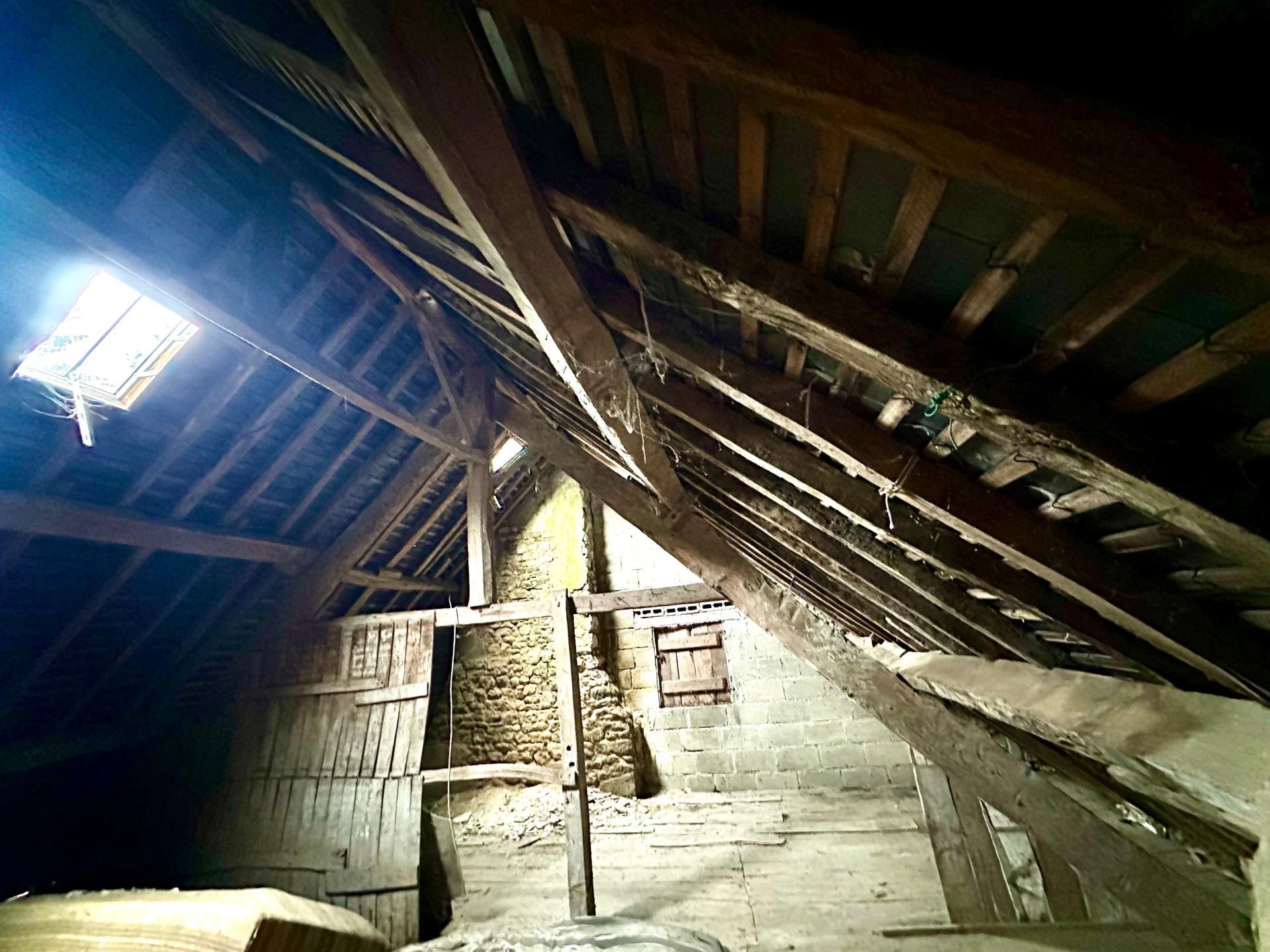 Miniature photo - 6 / 11