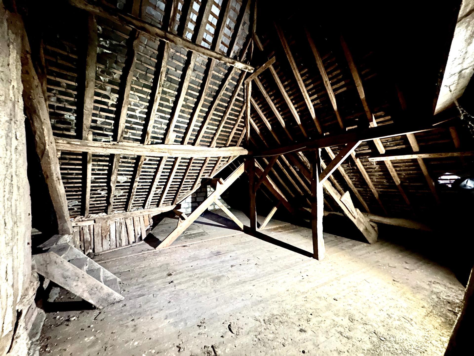 Miniature photo - 11 / 11