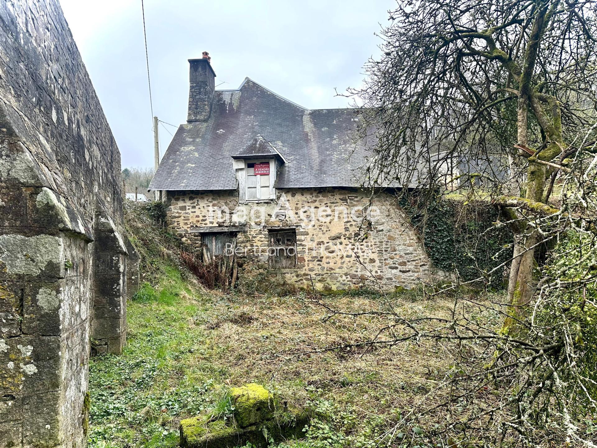 Miniature photo - 2 / 11