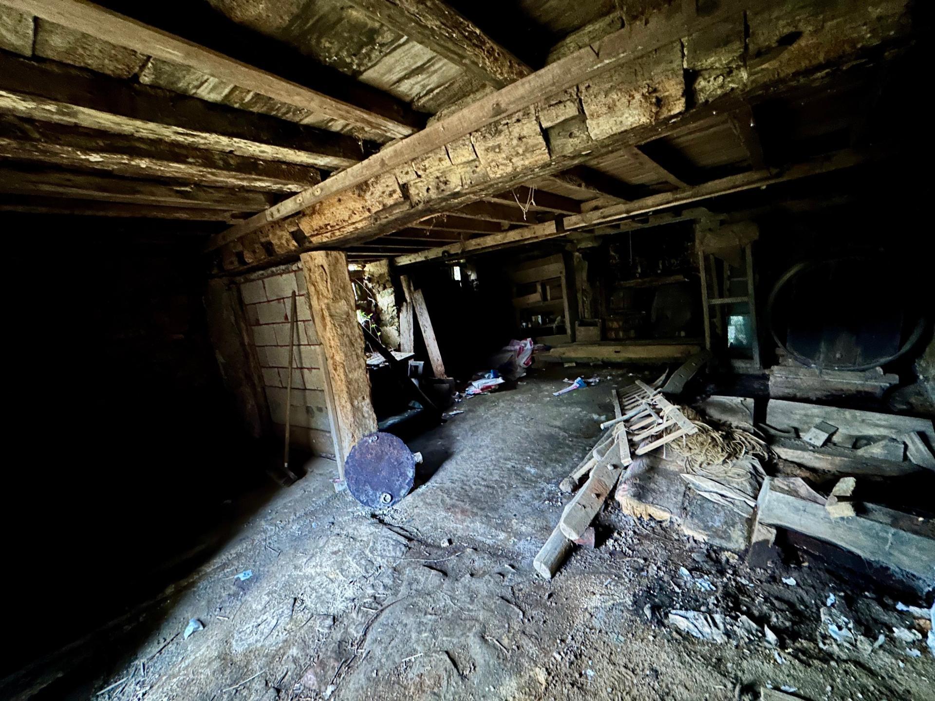 Miniature photo - 9 / 11