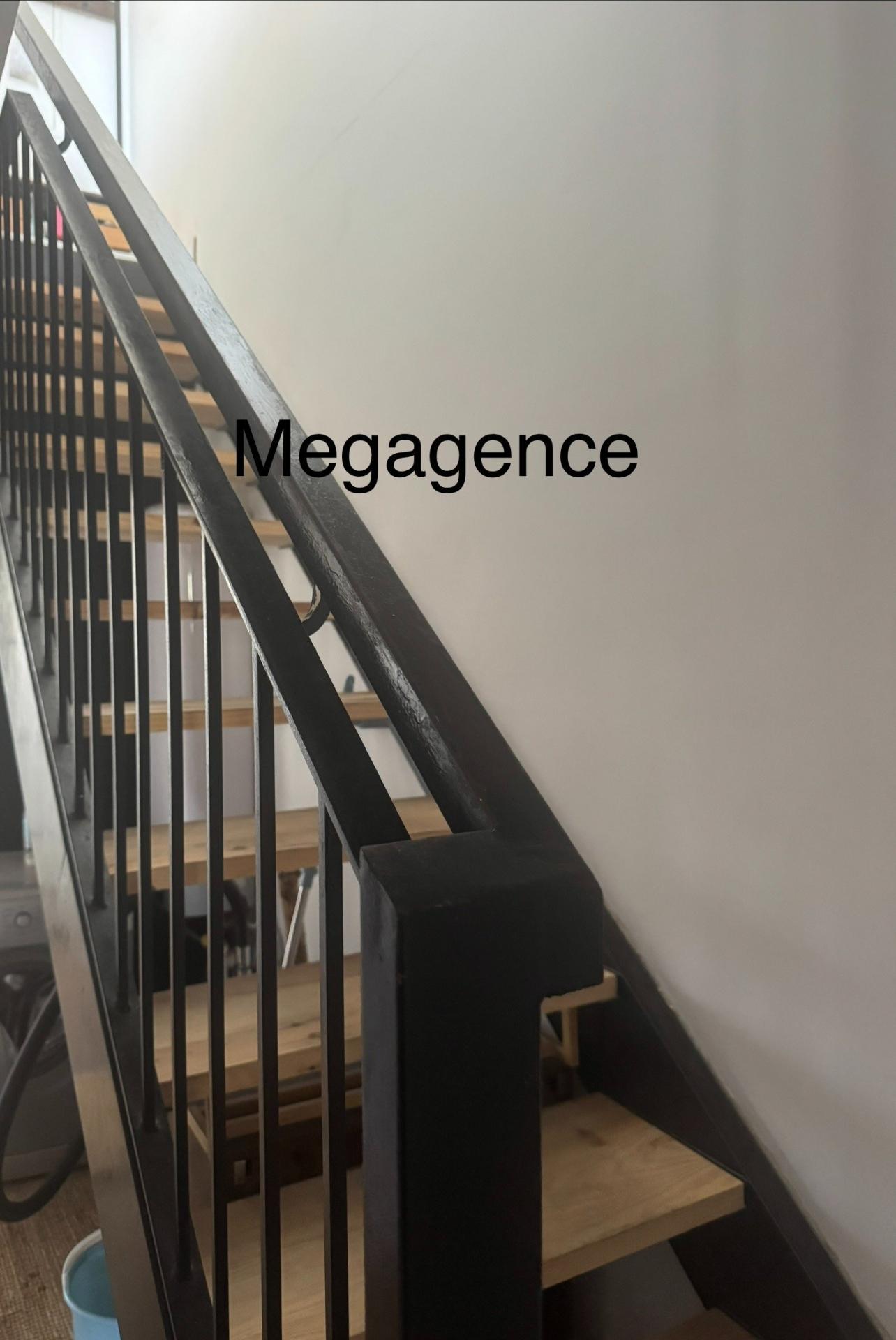 Miniature photo - 4 / 8