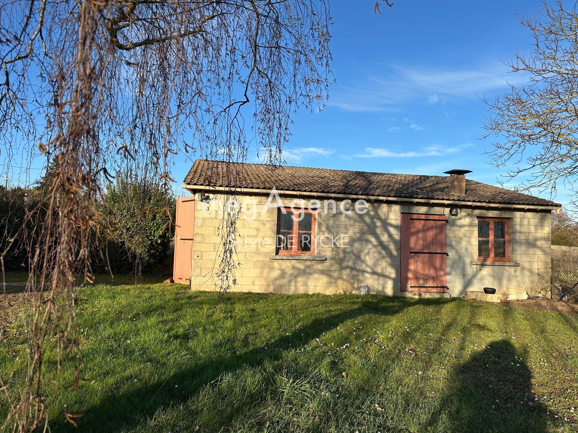 Miniature photo - 3 / 13