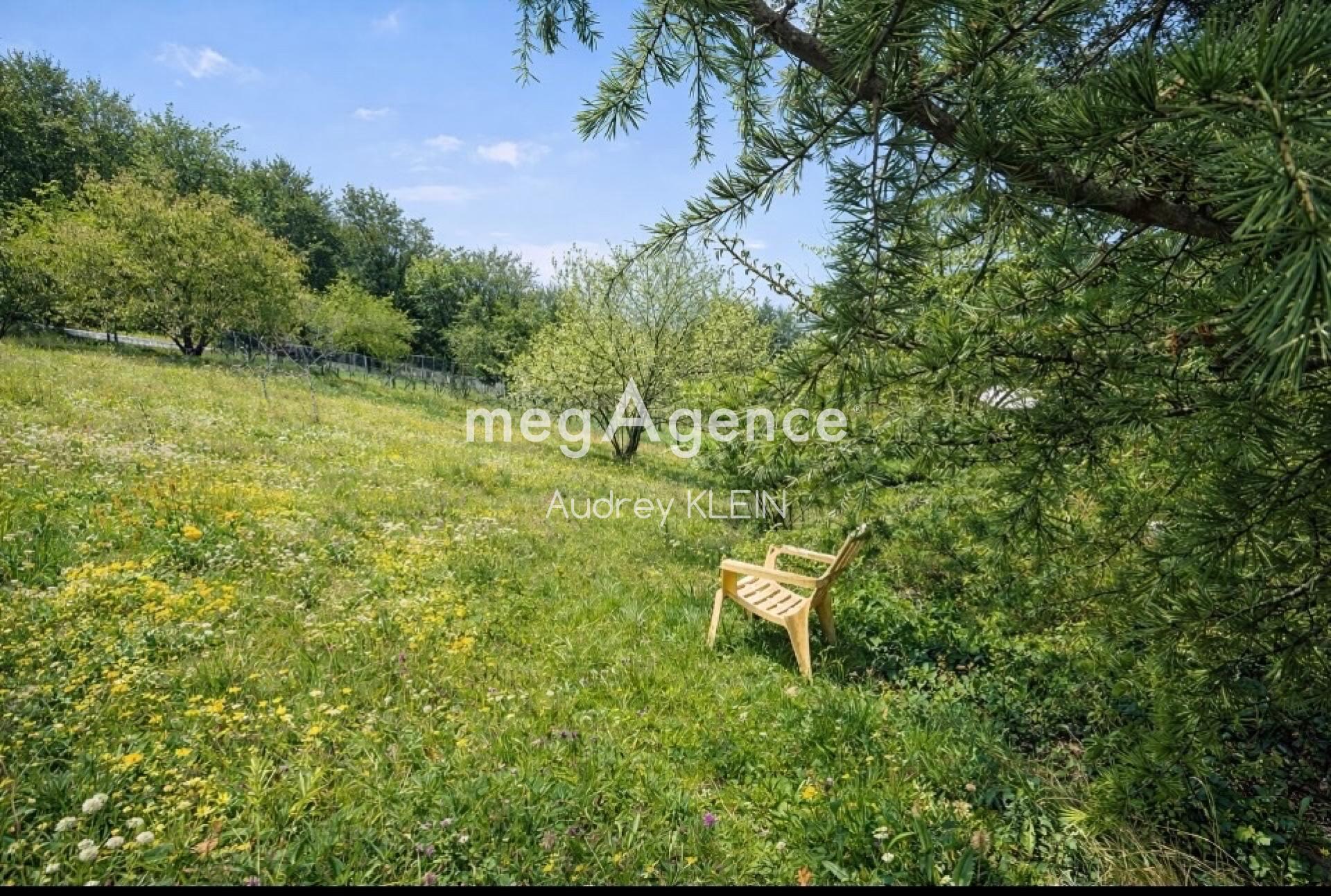 Miniature photo - 10 / 11