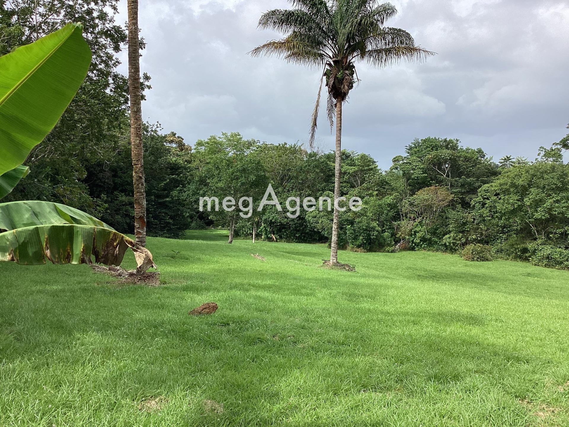 Terrain 11100 m² · à Matoury · 11 100 m² · 474 000 €