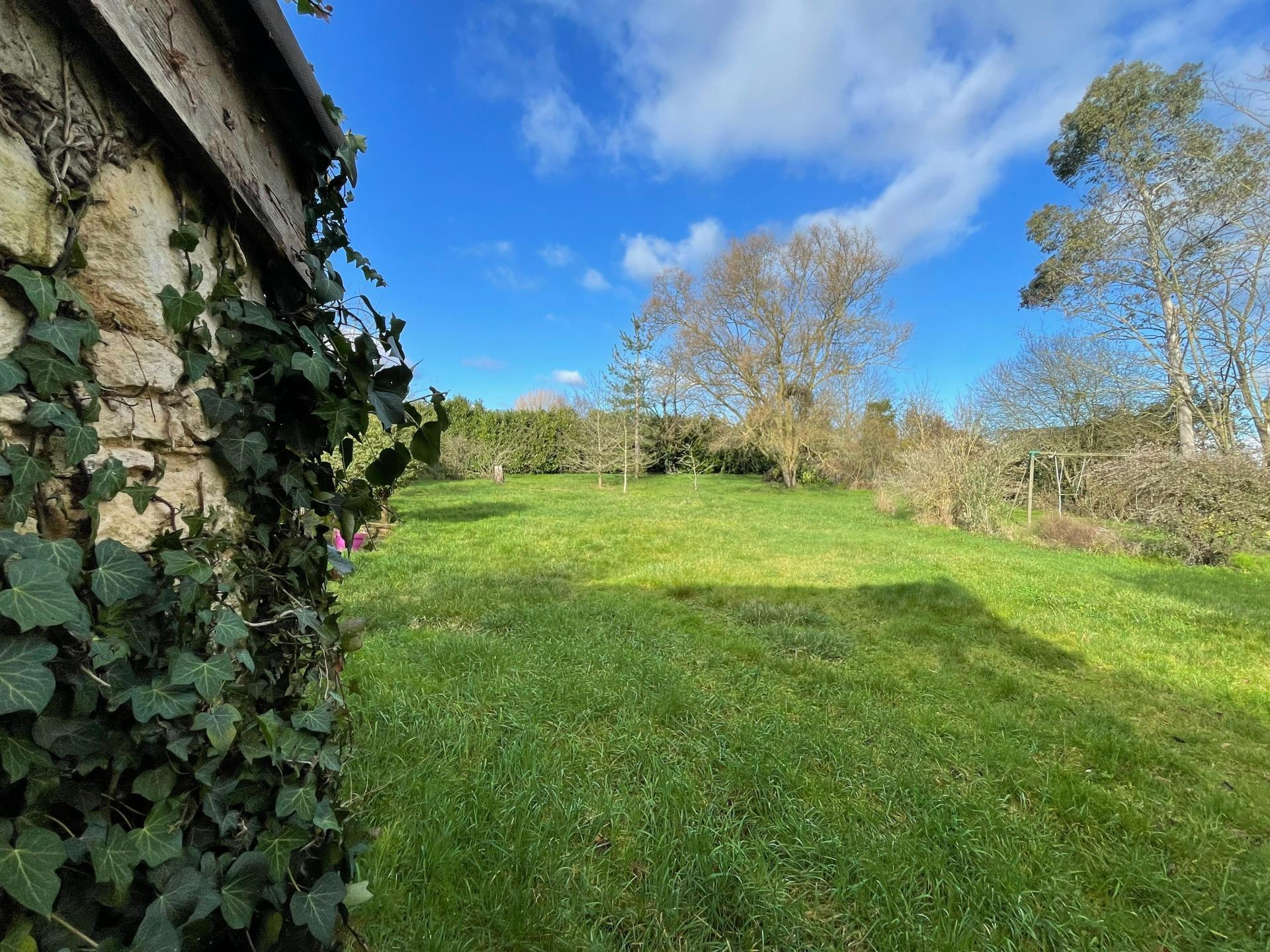 Miniature photo - 8 / 8