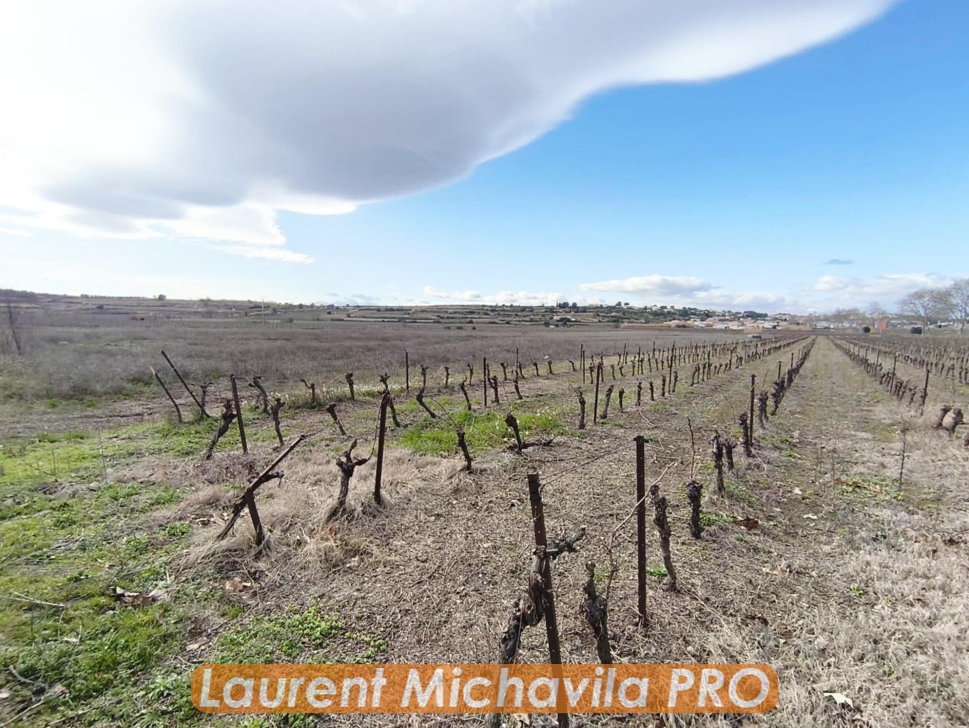 Miniature photo - 8 / 9