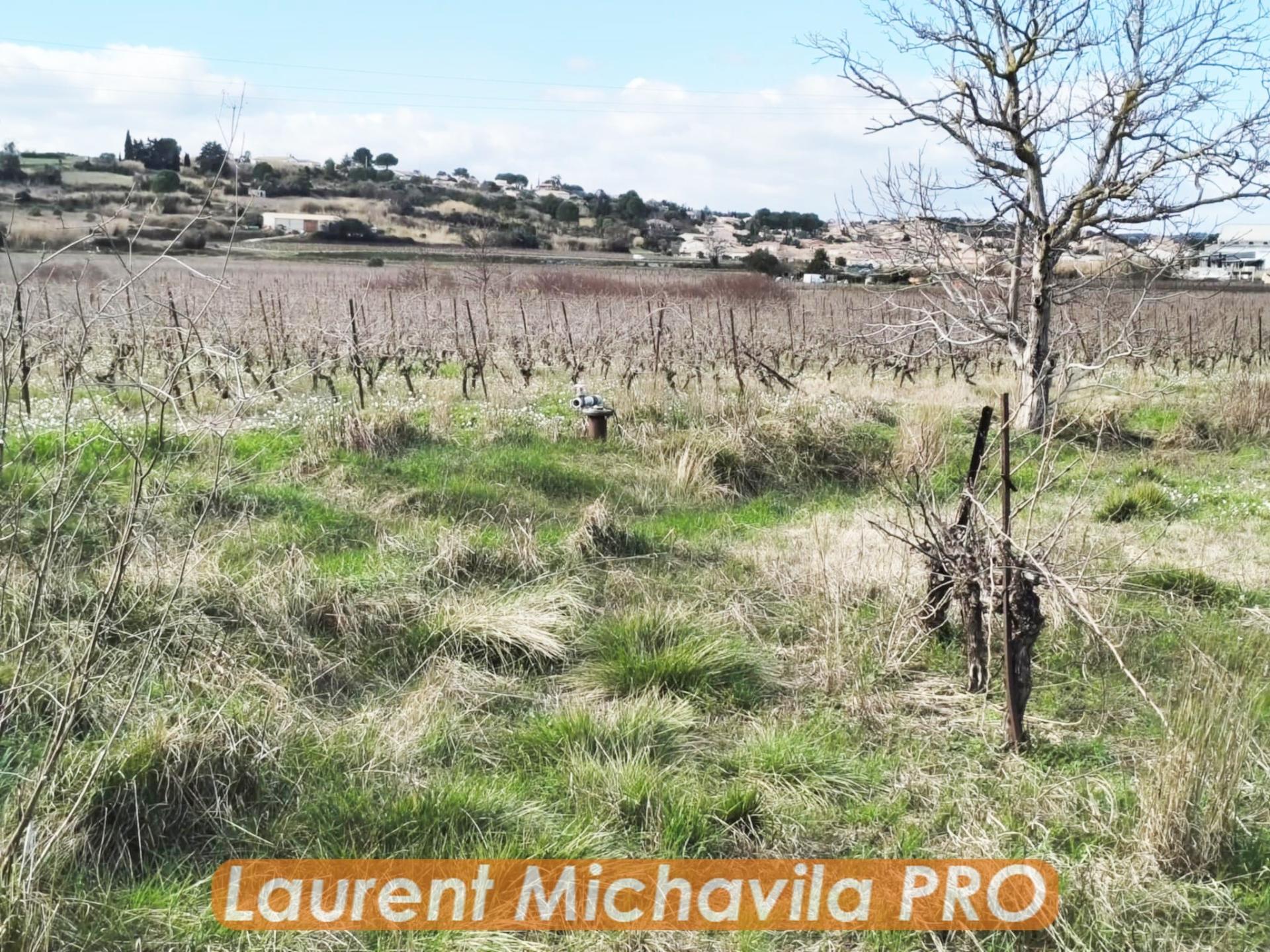 Miniature photo - 9 / 9