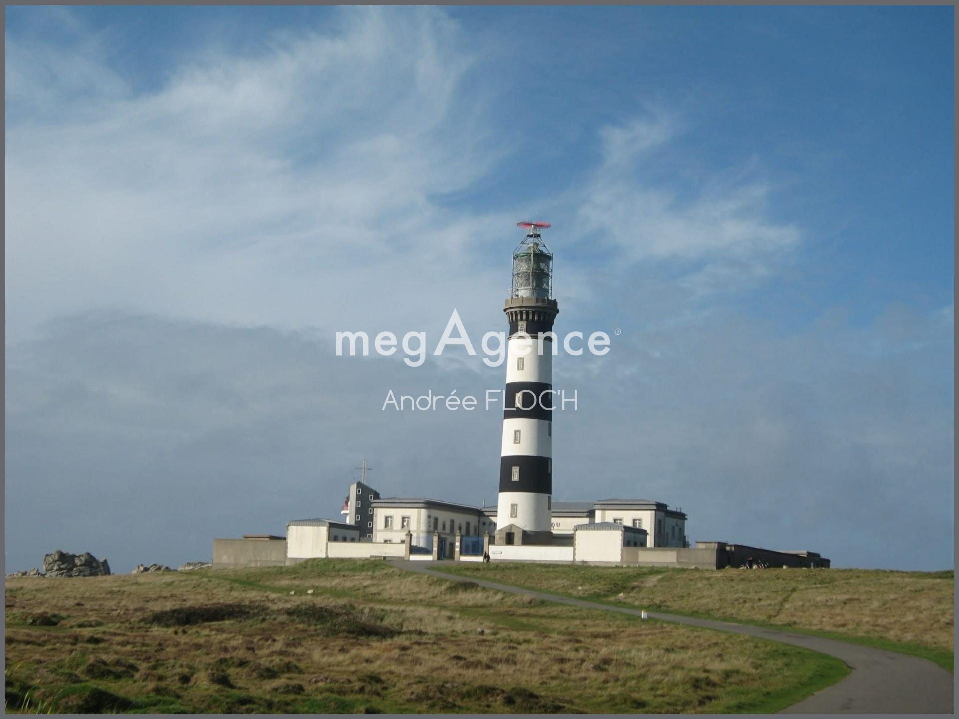 Miniature photo - 11 / 12