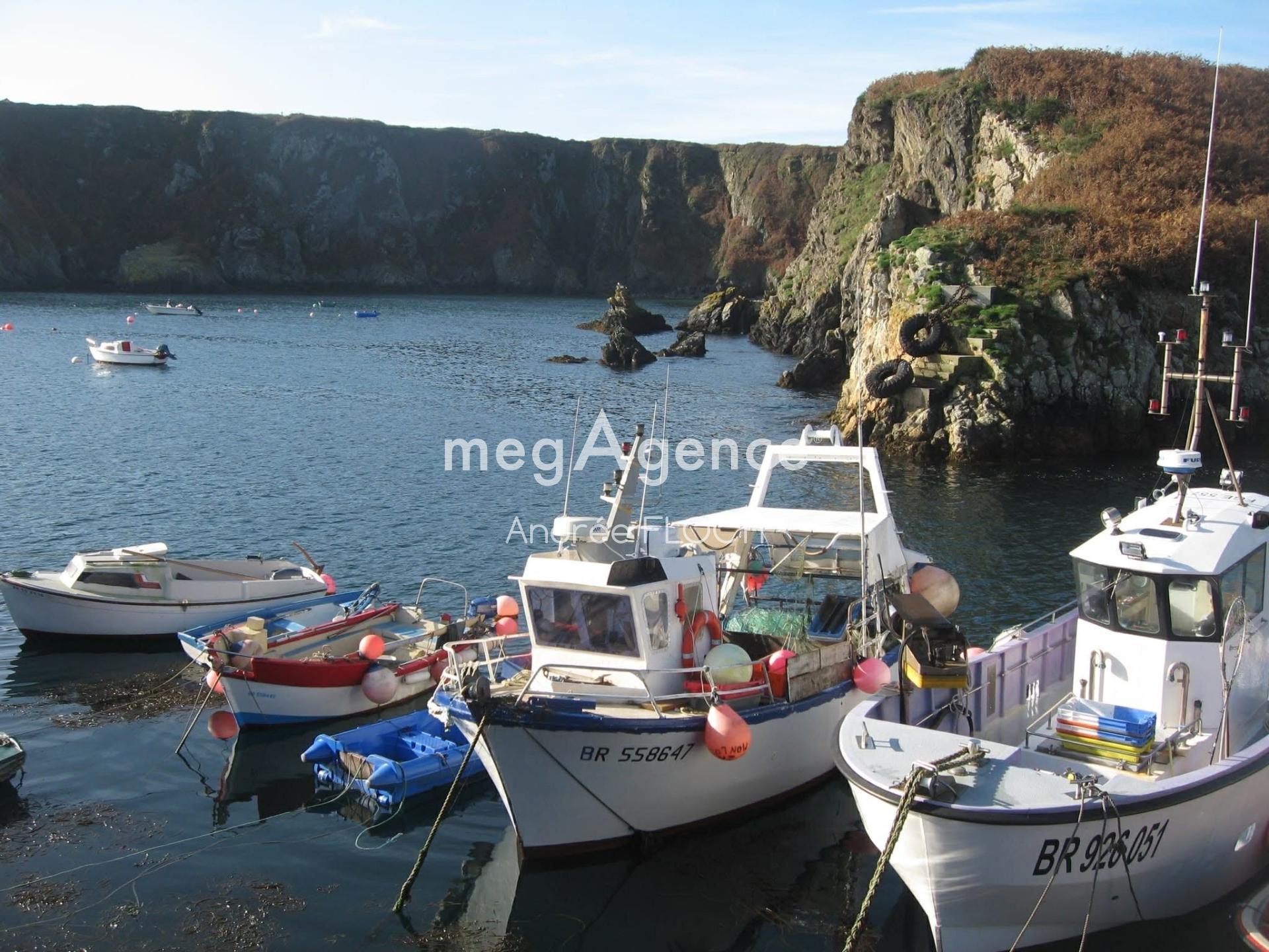 Miniature photo - 10 / 12