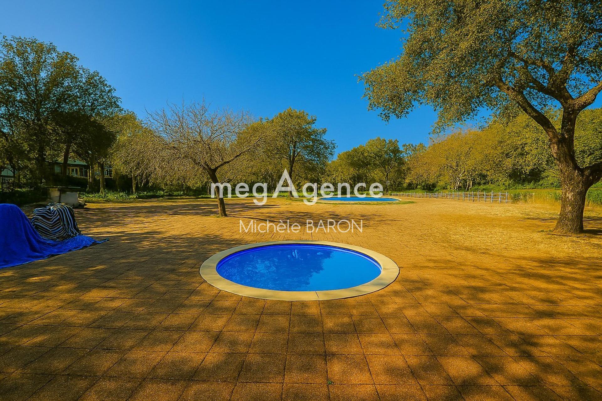 Miniature photo - 4 / 10