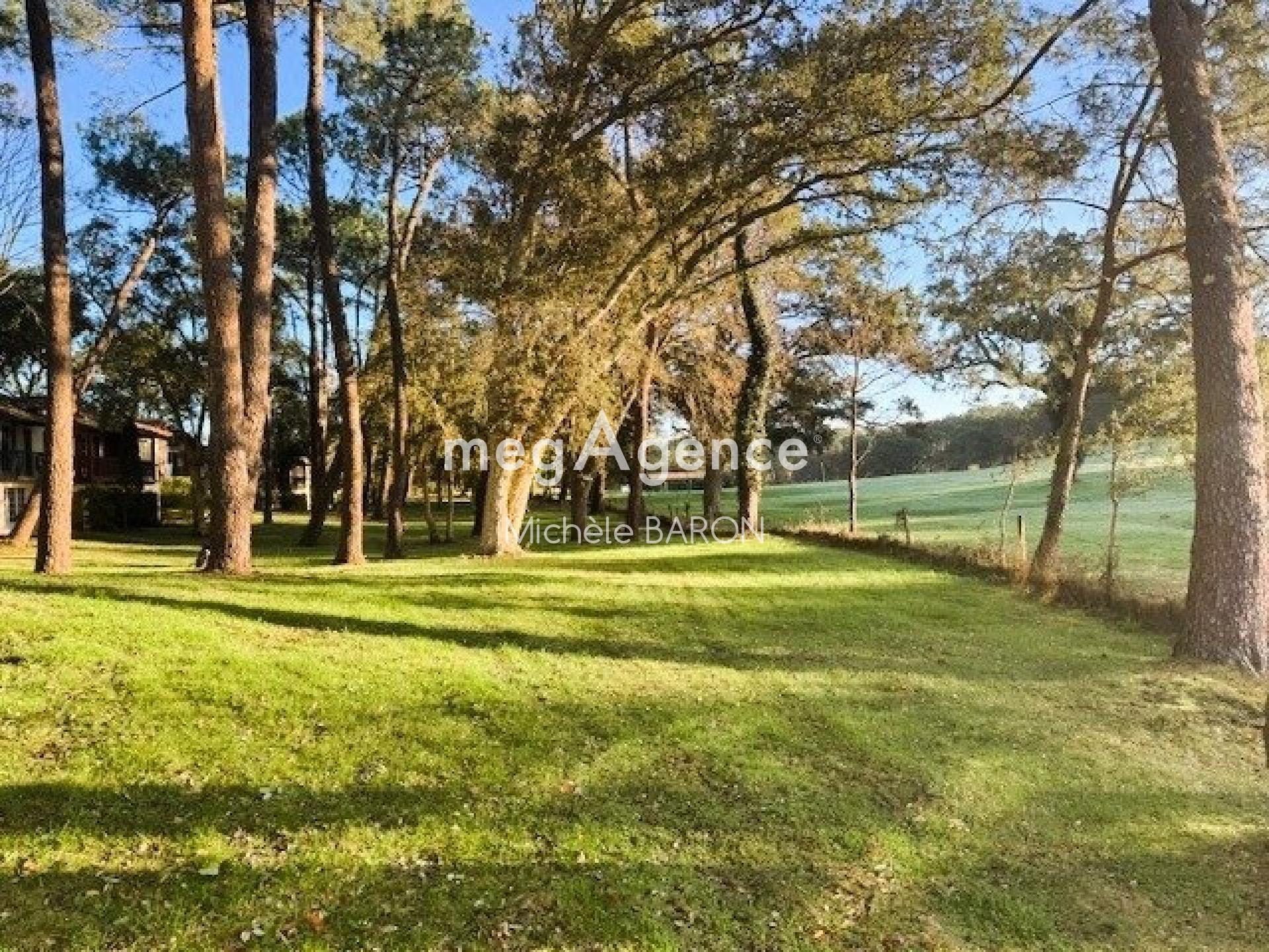 Miniature photo - 3 / 10