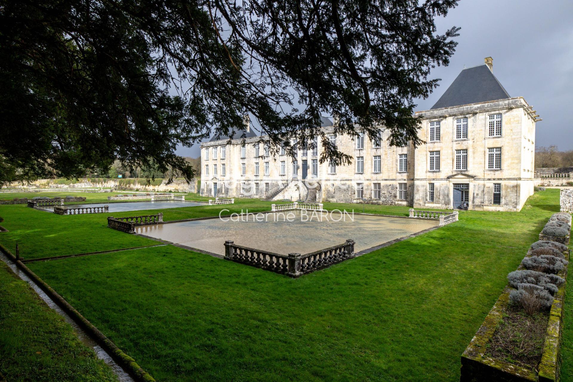 Miniature photo - 11 / 19