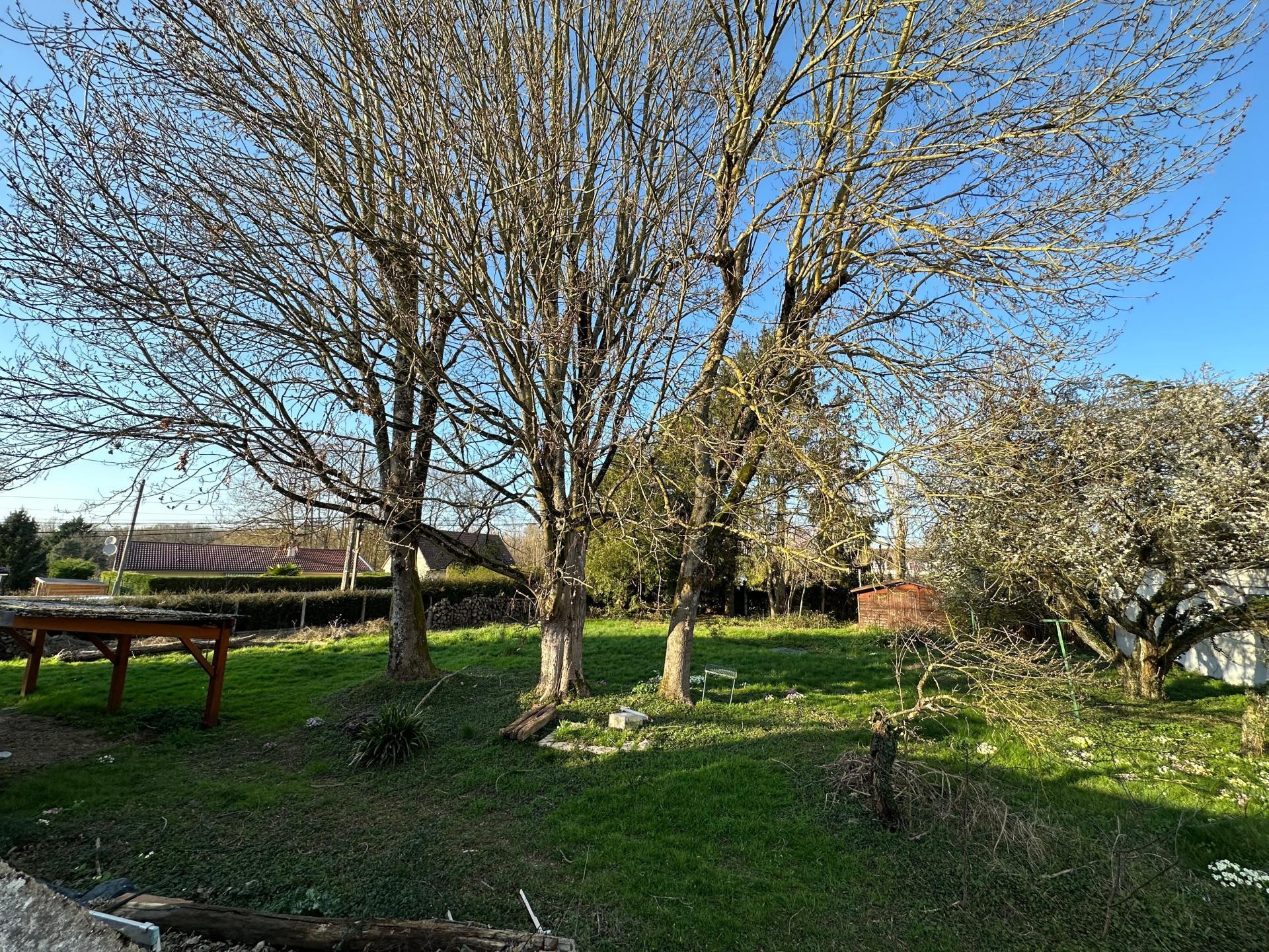 Miniature photo - 3 / 13