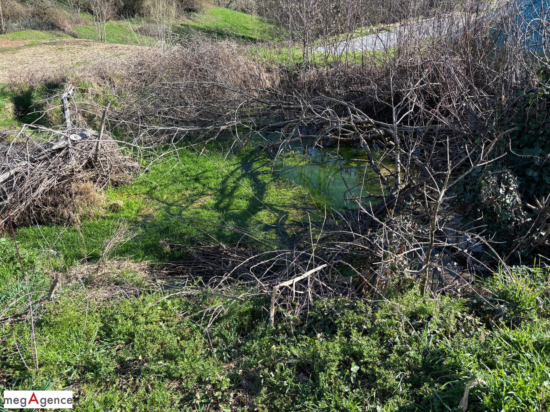 Miniature photo - 3 / 3