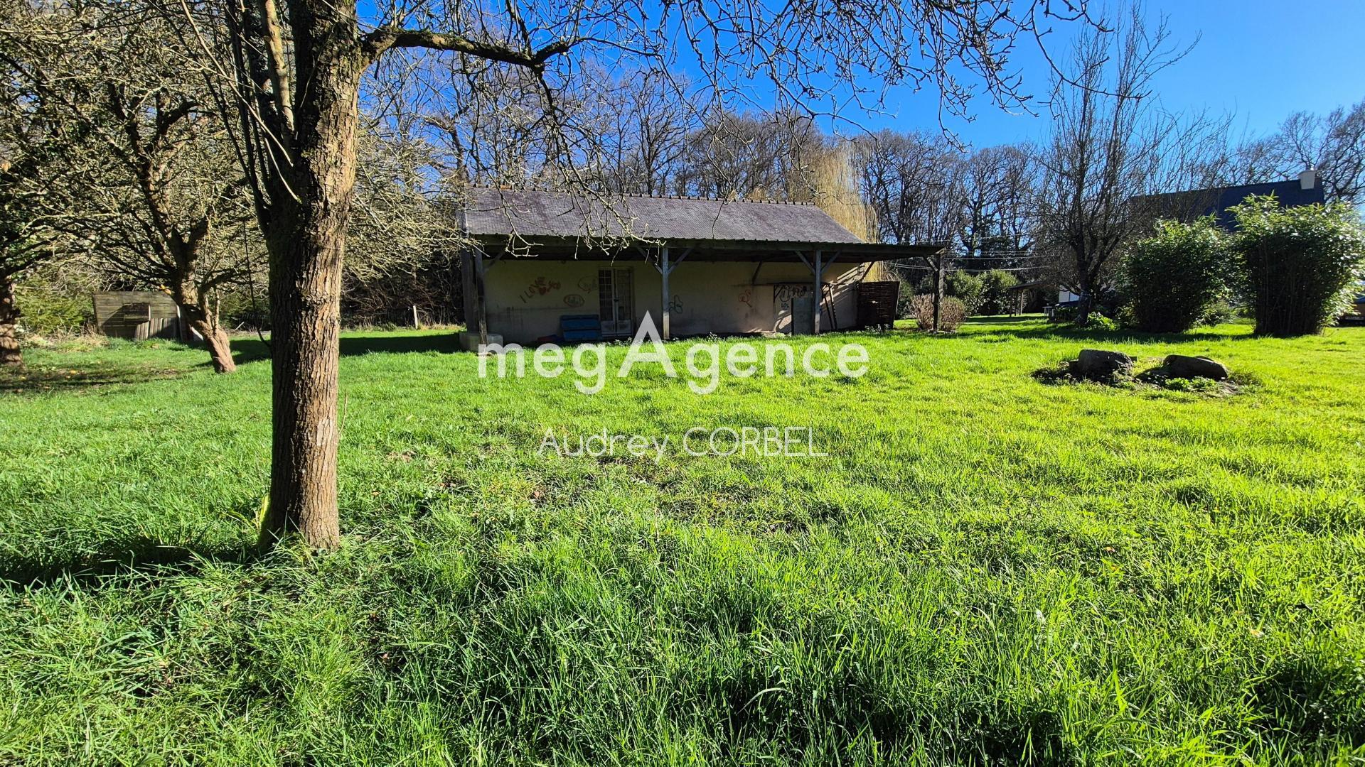 Miniature photo - 6 / 6