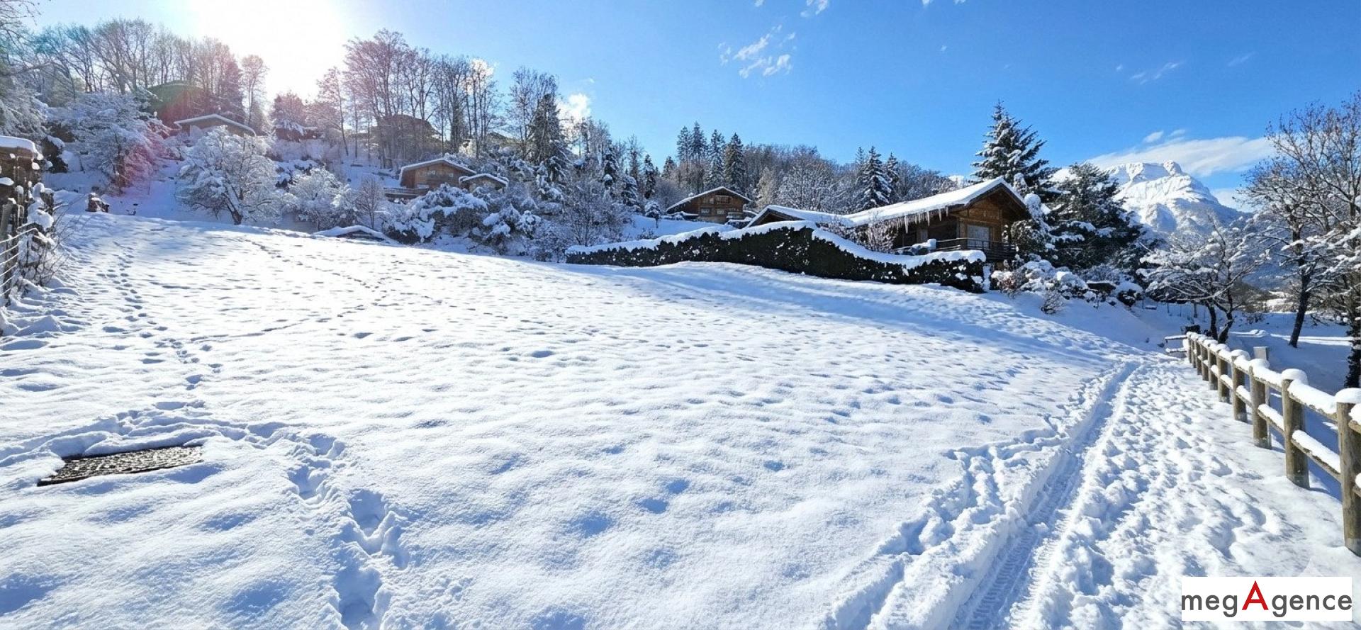 Miniature photo - 6 / 6