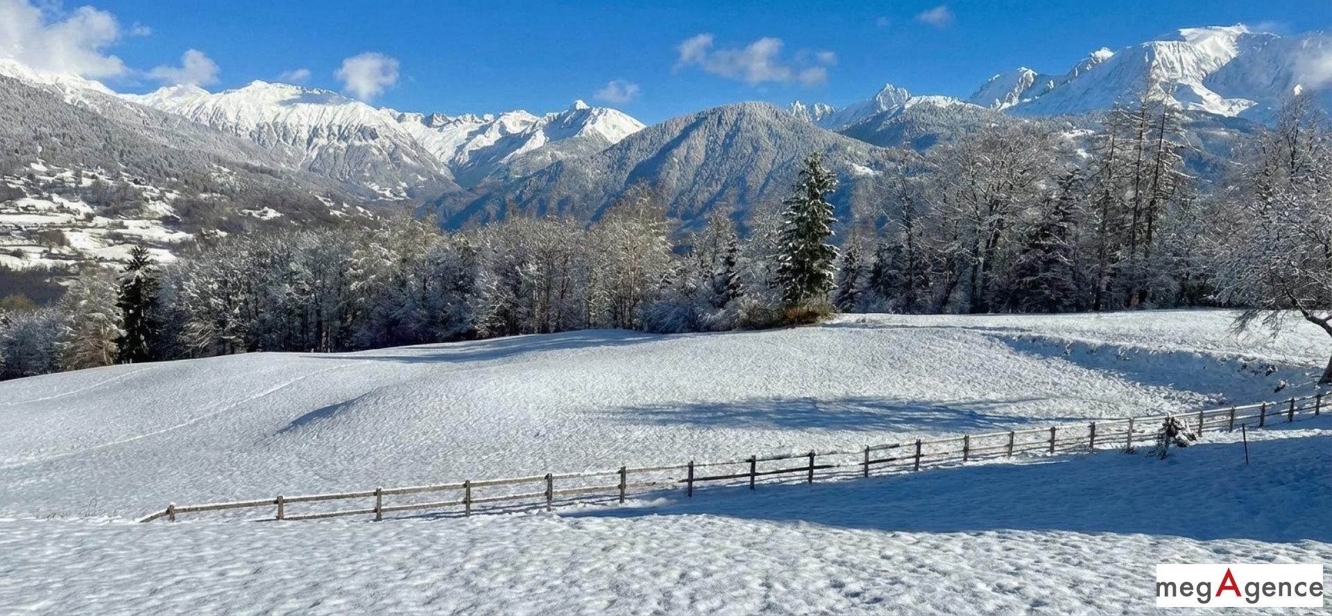 Miniature photo - 4 / 6