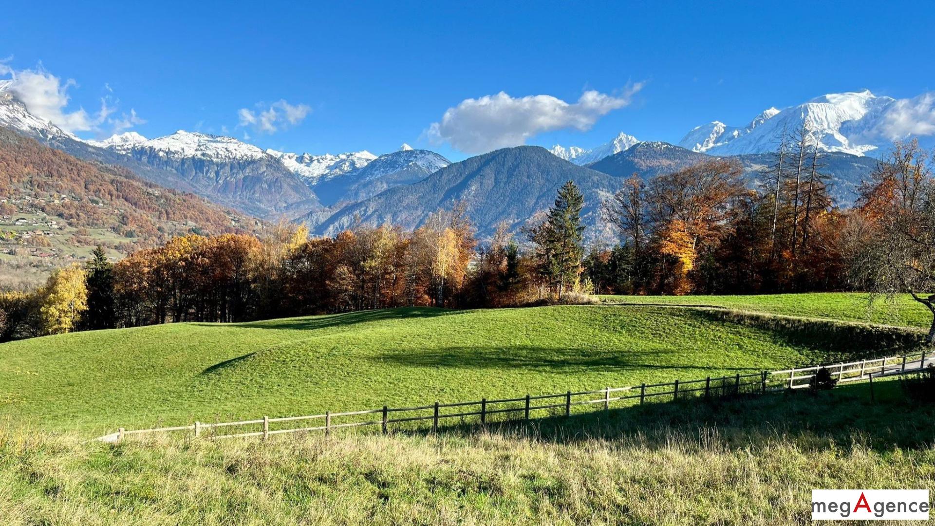 Miniature photo - 3 / 6