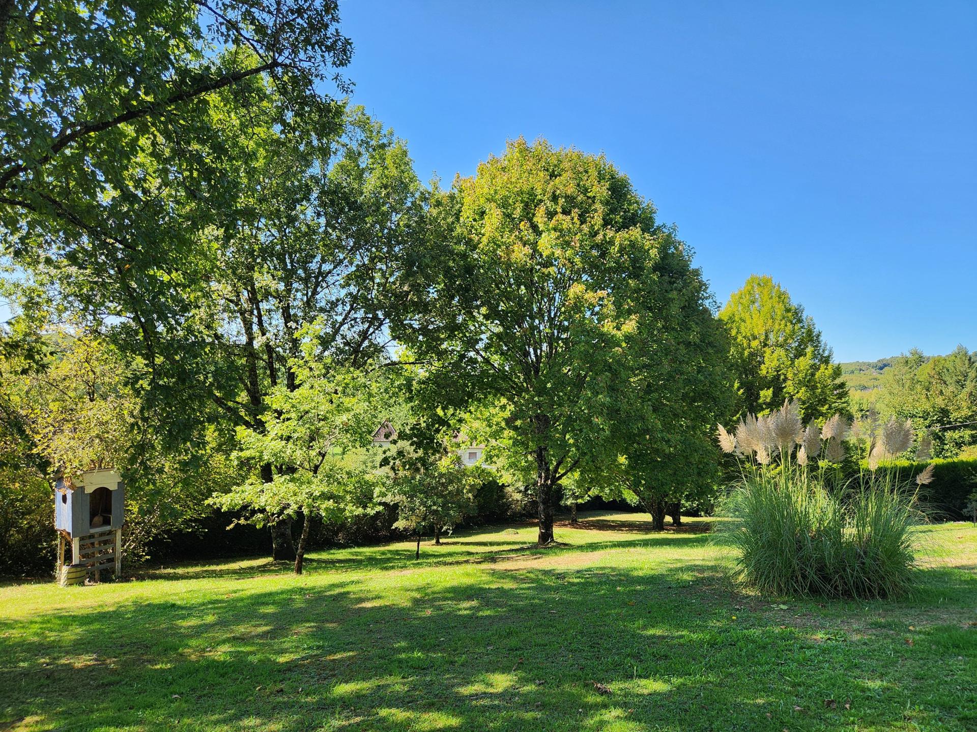 Miniature photo - 11 / 12