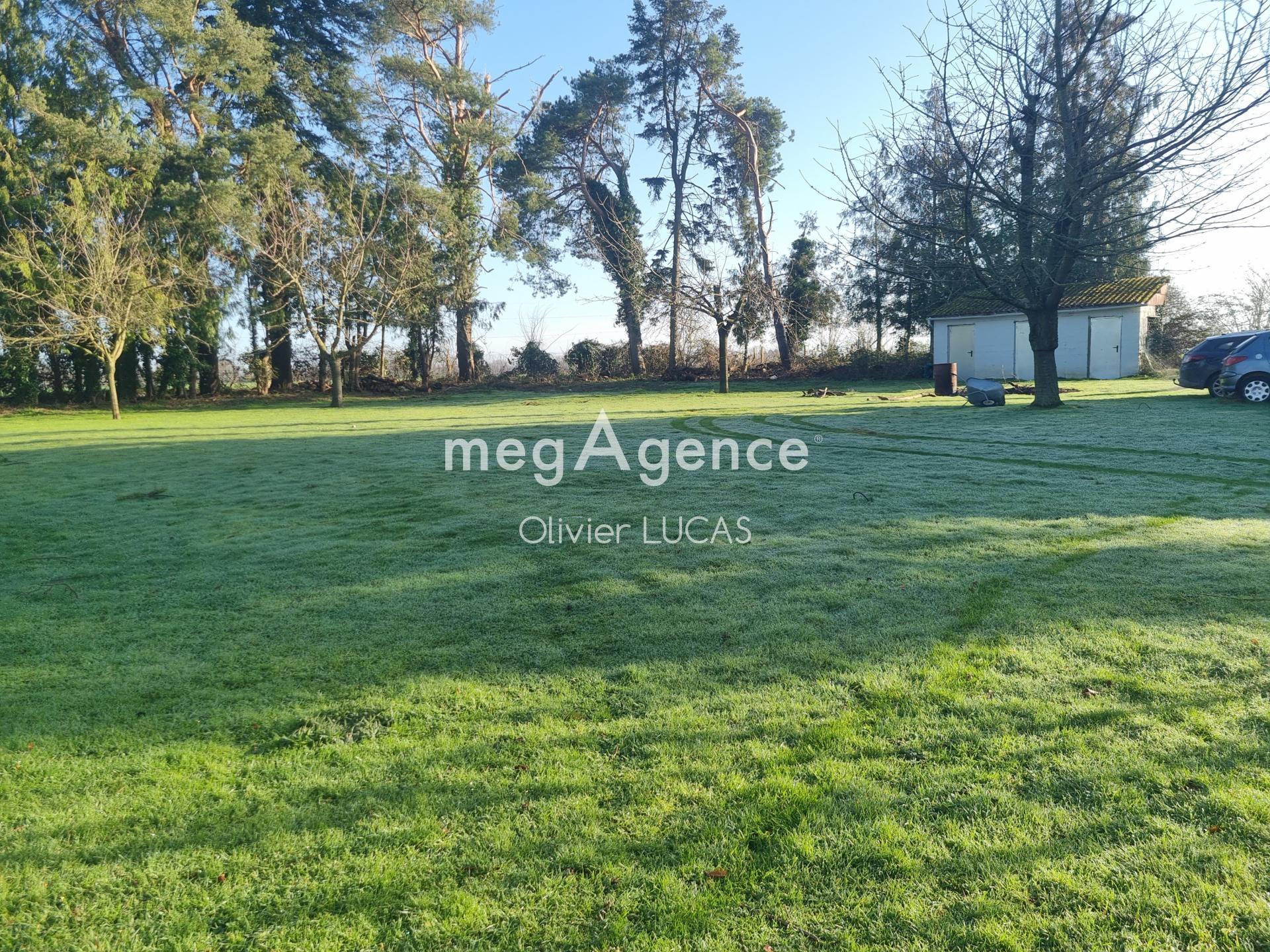 Miniature photo - 11 / 12