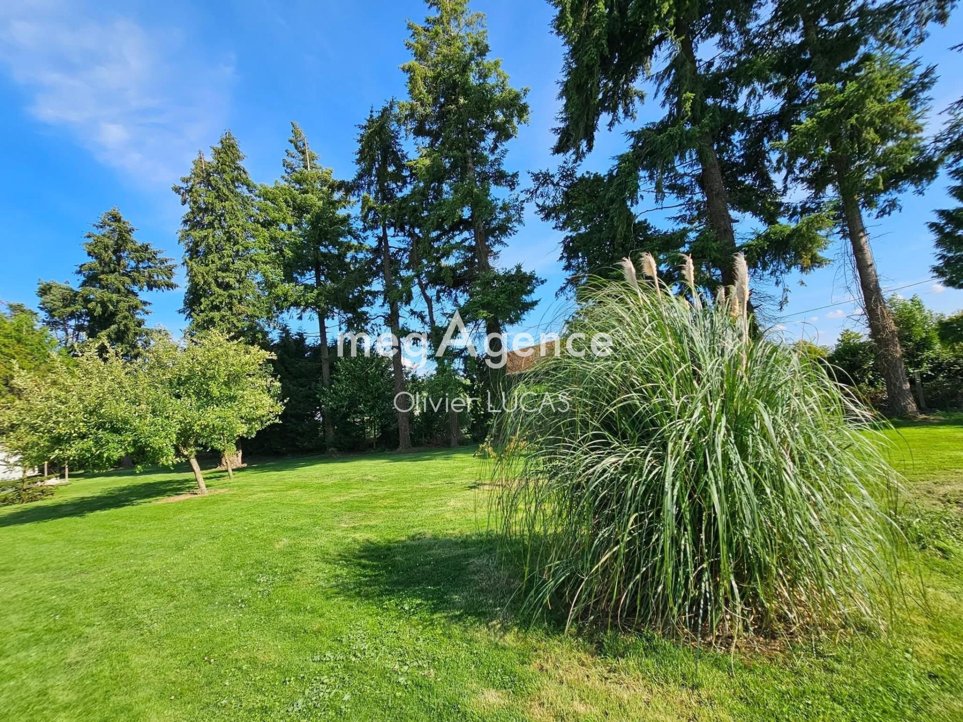 Miniature photo - 10 / 12