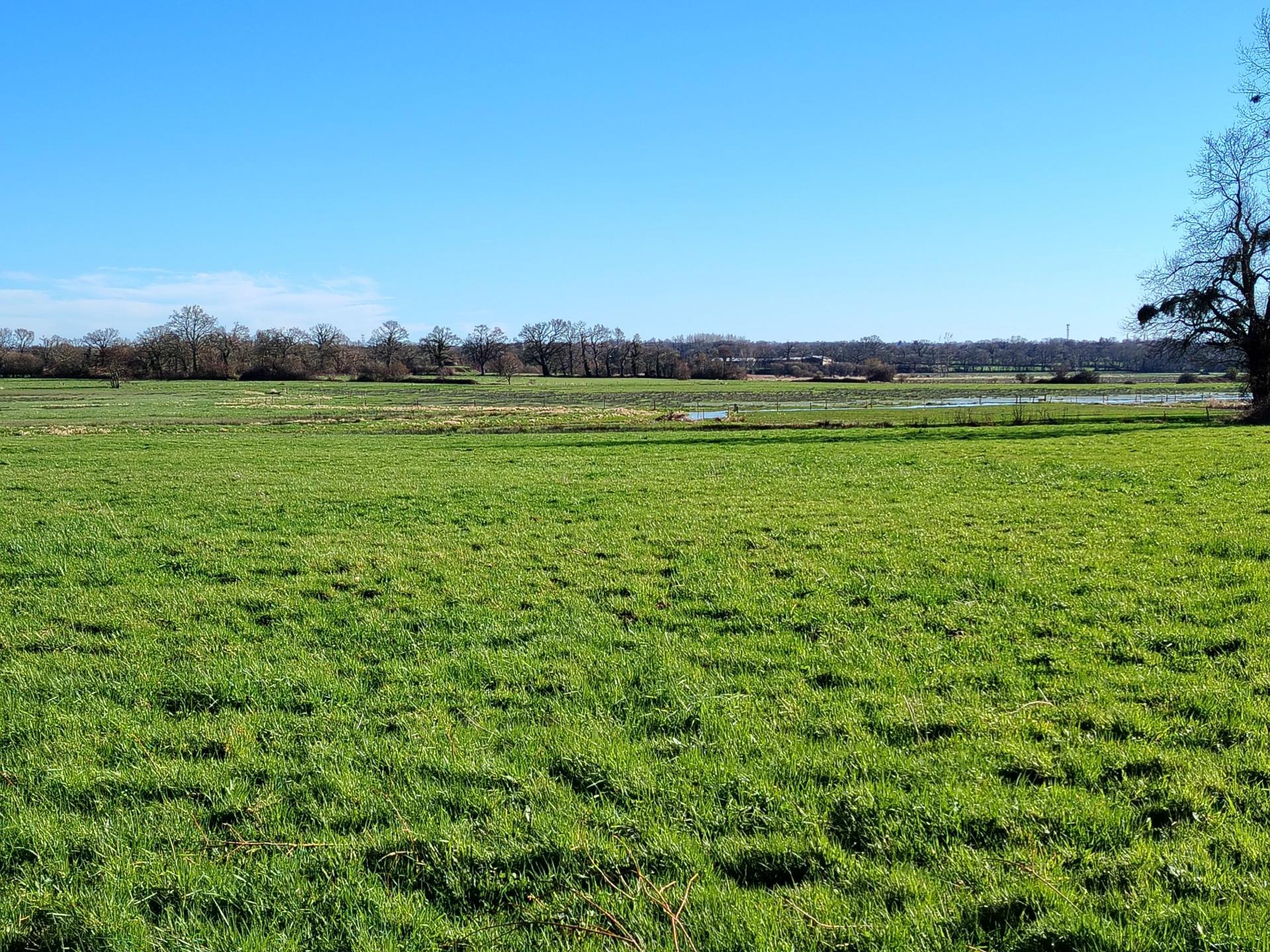 Miniature photo - 3 / 18