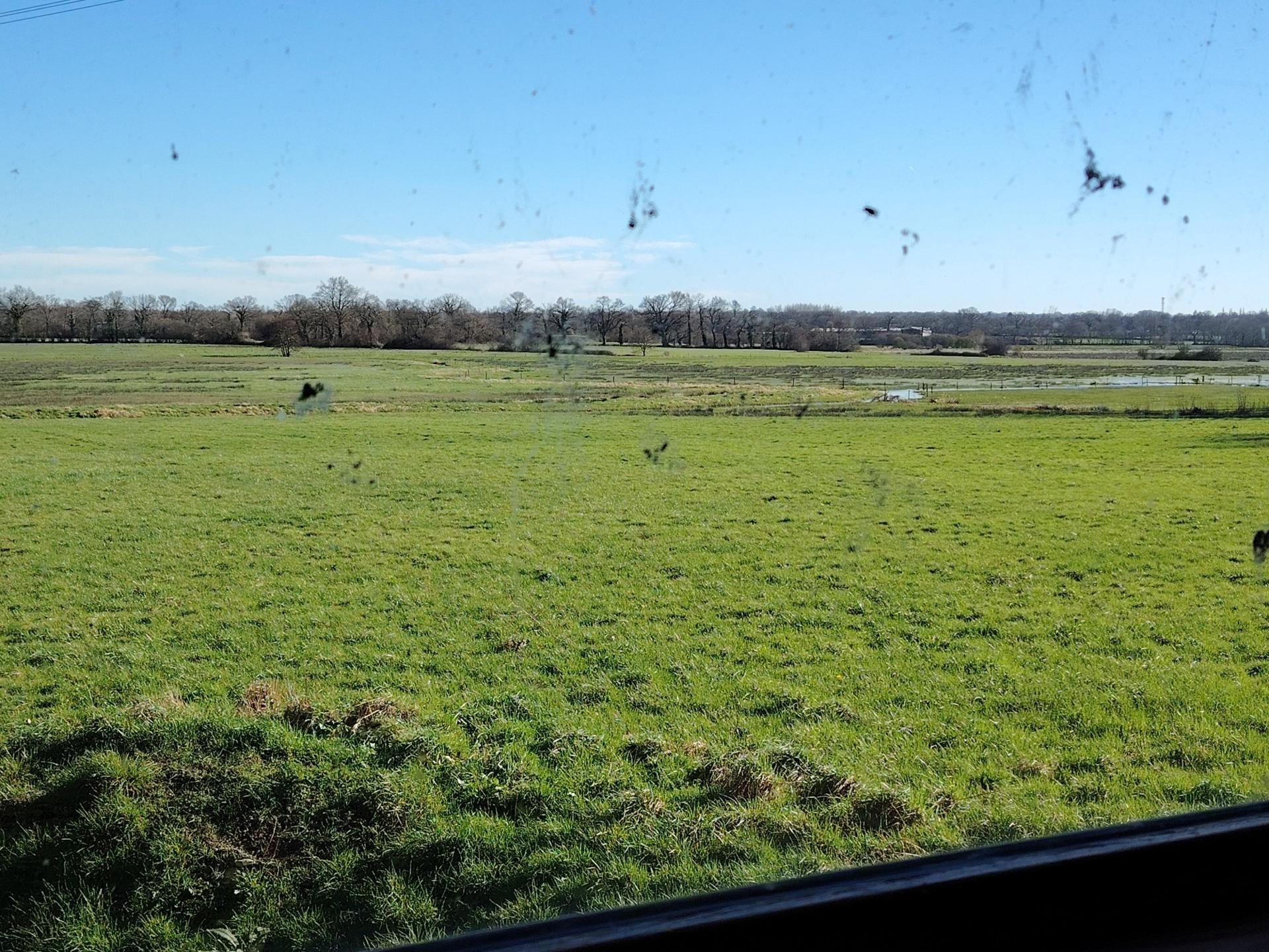 Miniature photo - 12 / 18