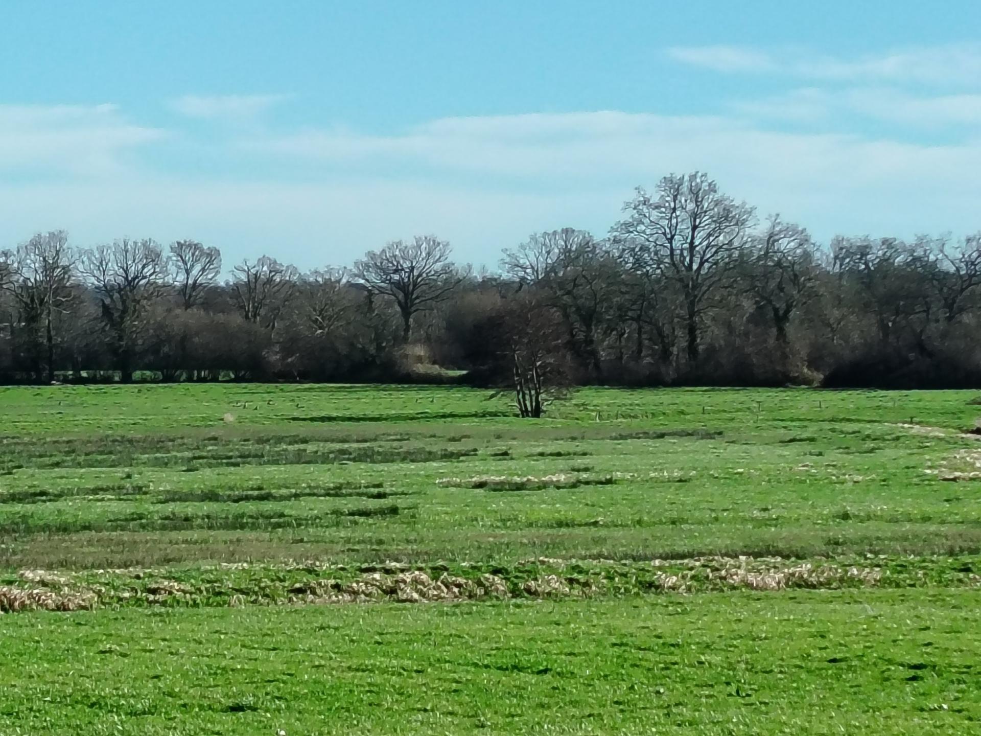 Miniature photo - 18 / 18