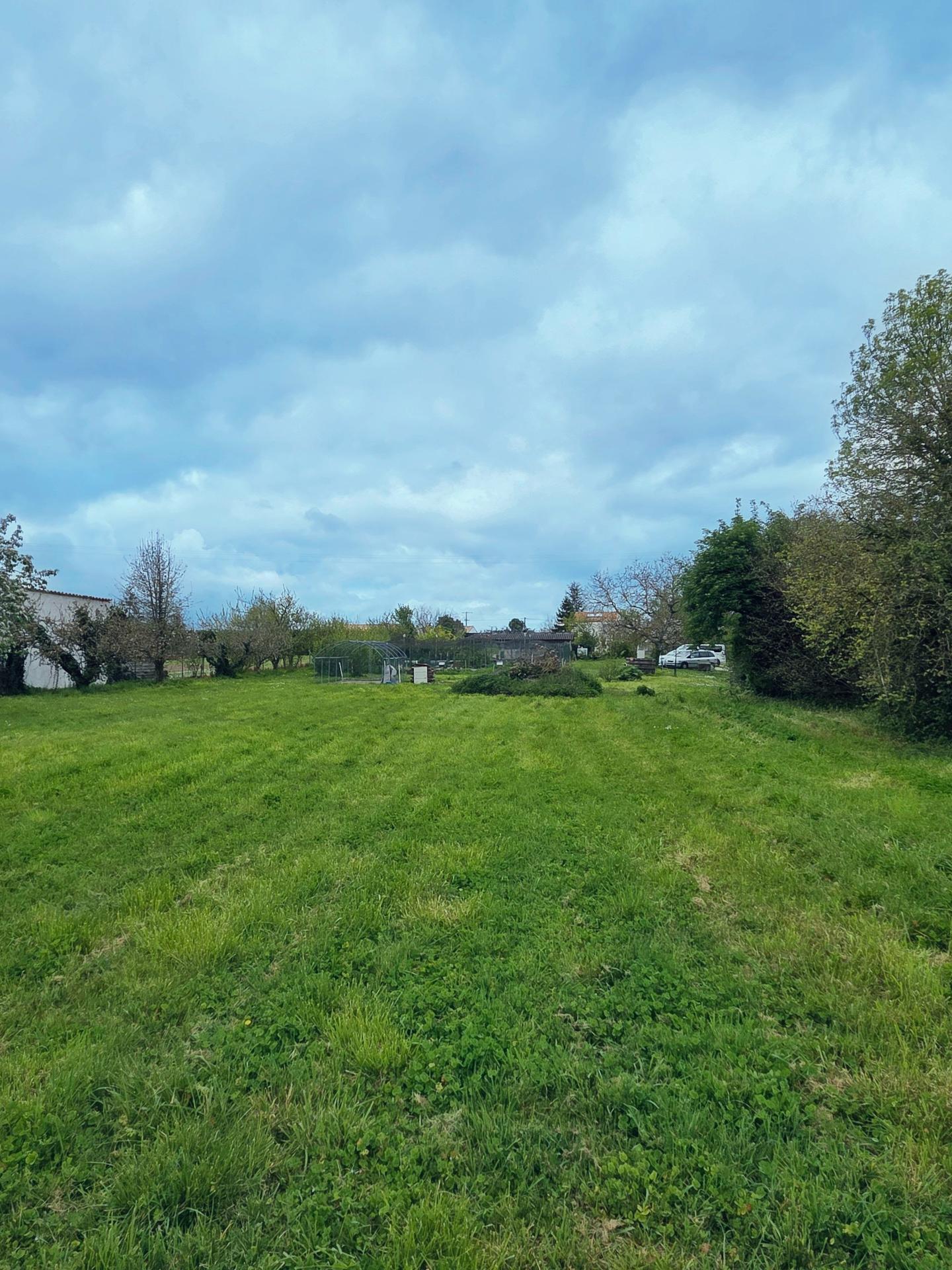 Miniature photo - 15 / 15