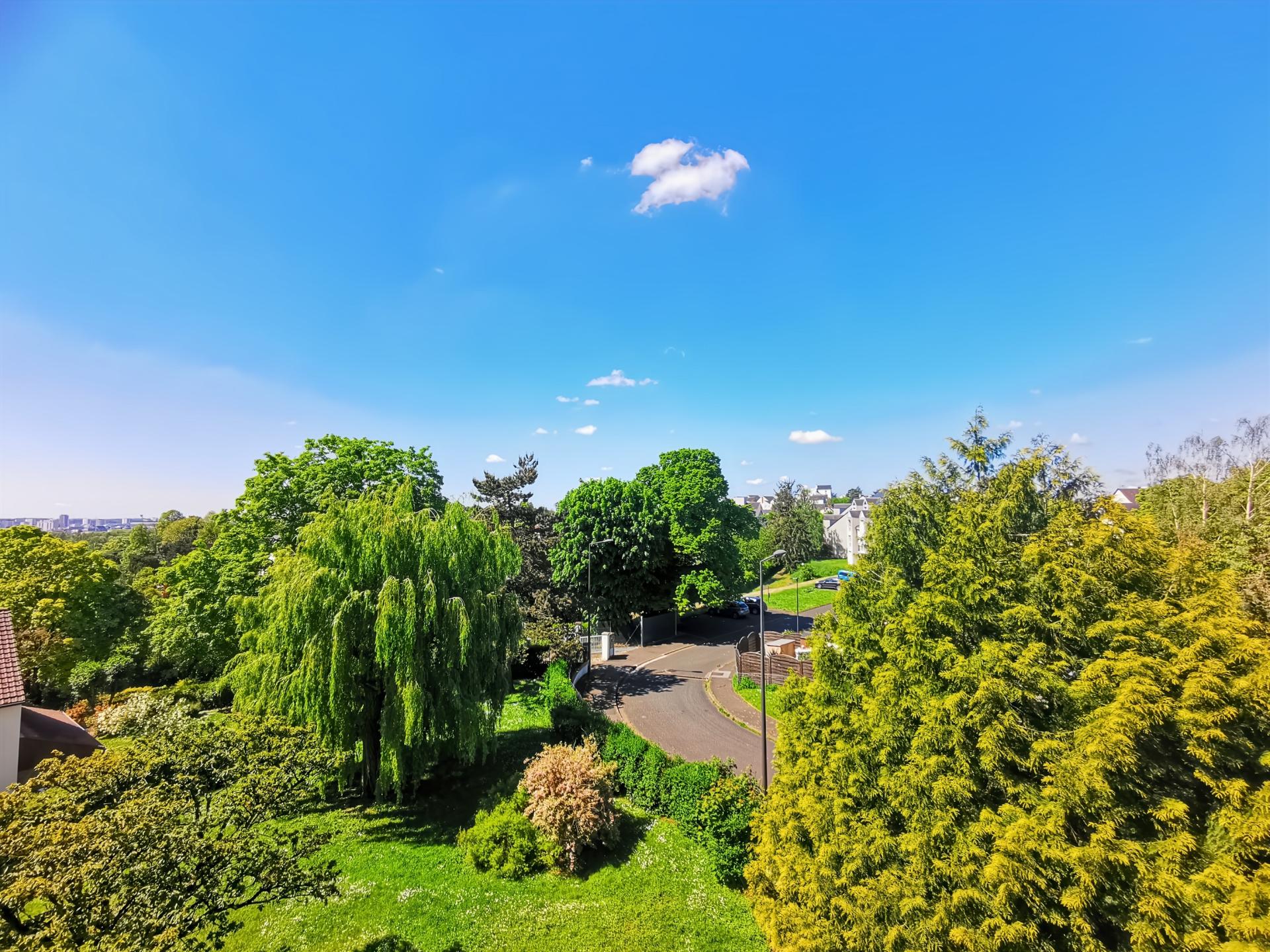 Miniature photo - 5 / 5