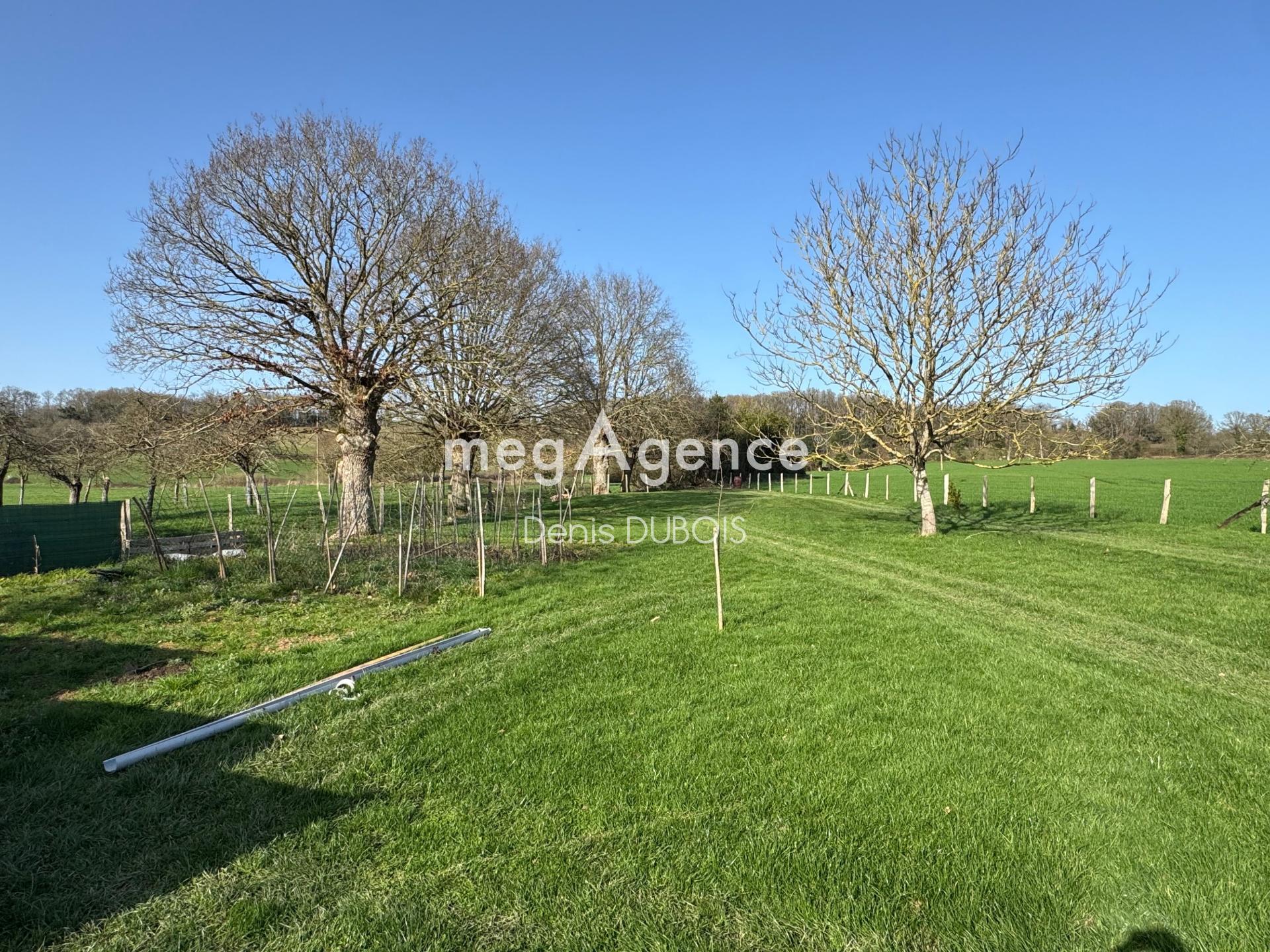 Miniature photo - 7 / 14