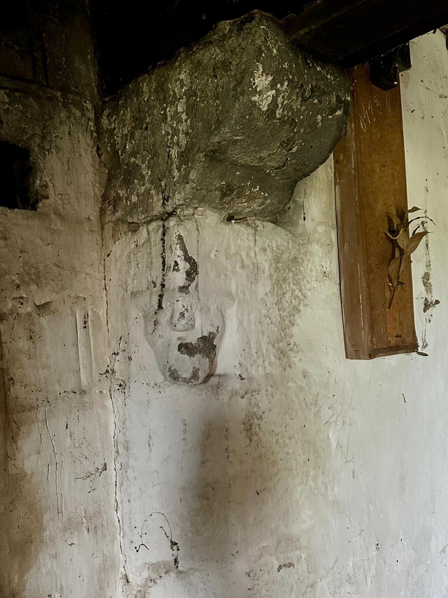 Miniature photo - 7 / 10