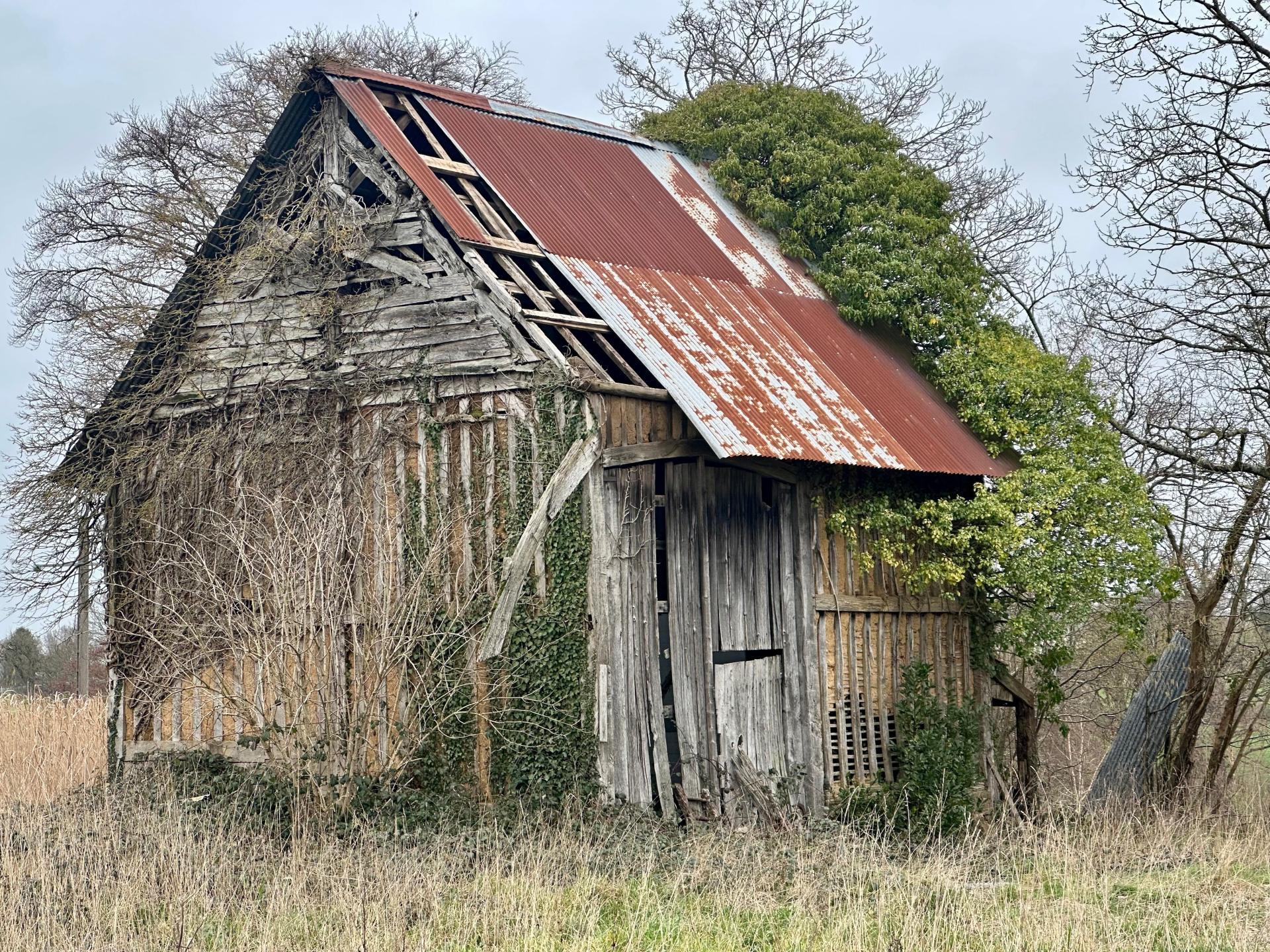 Miniature photo - 6 / 10