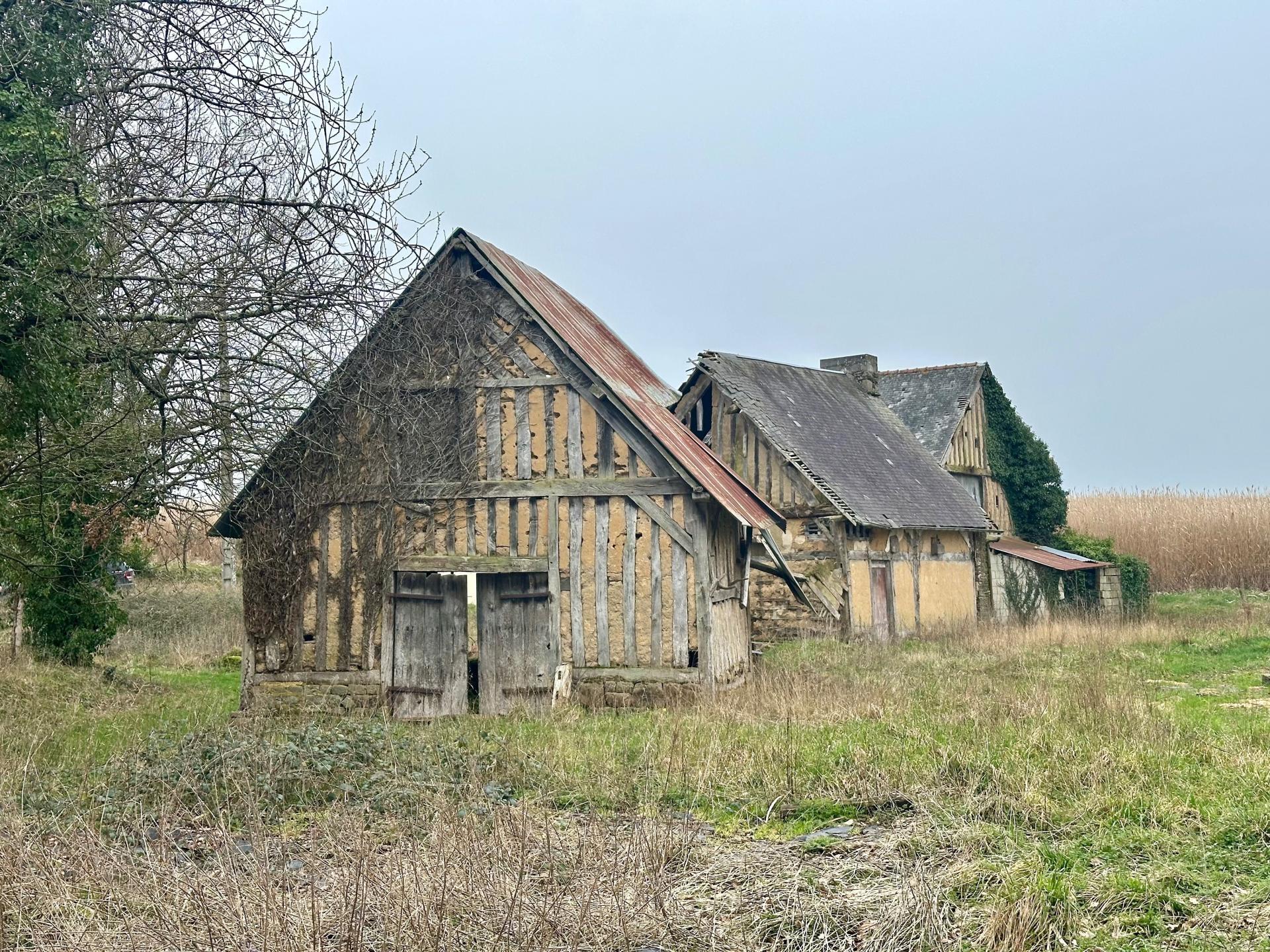 Miniature photo - 4 / 10