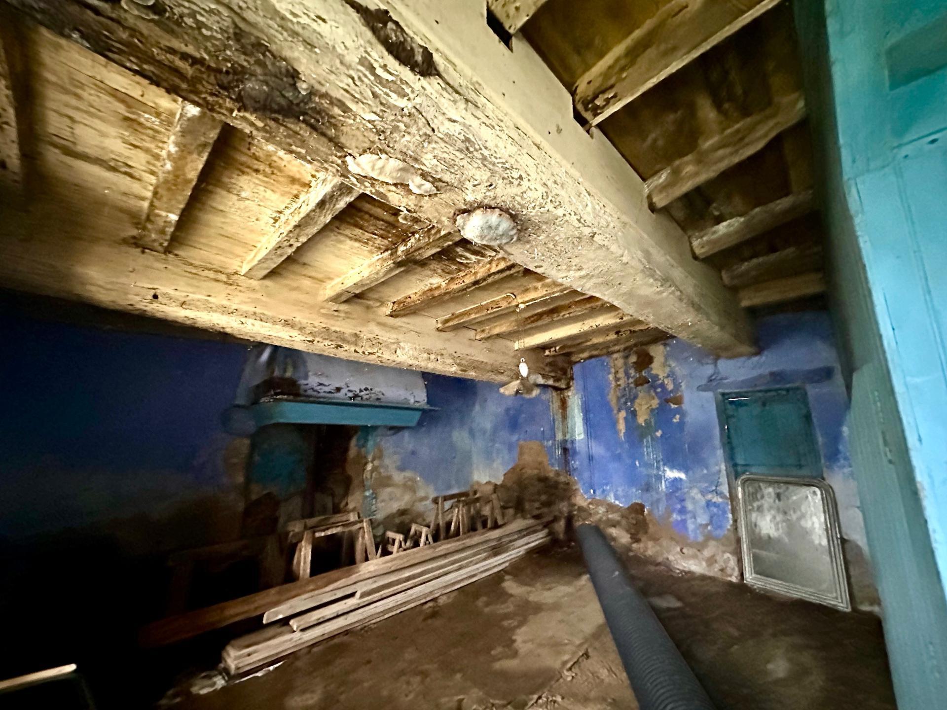 Miniature photo - 10 / 10