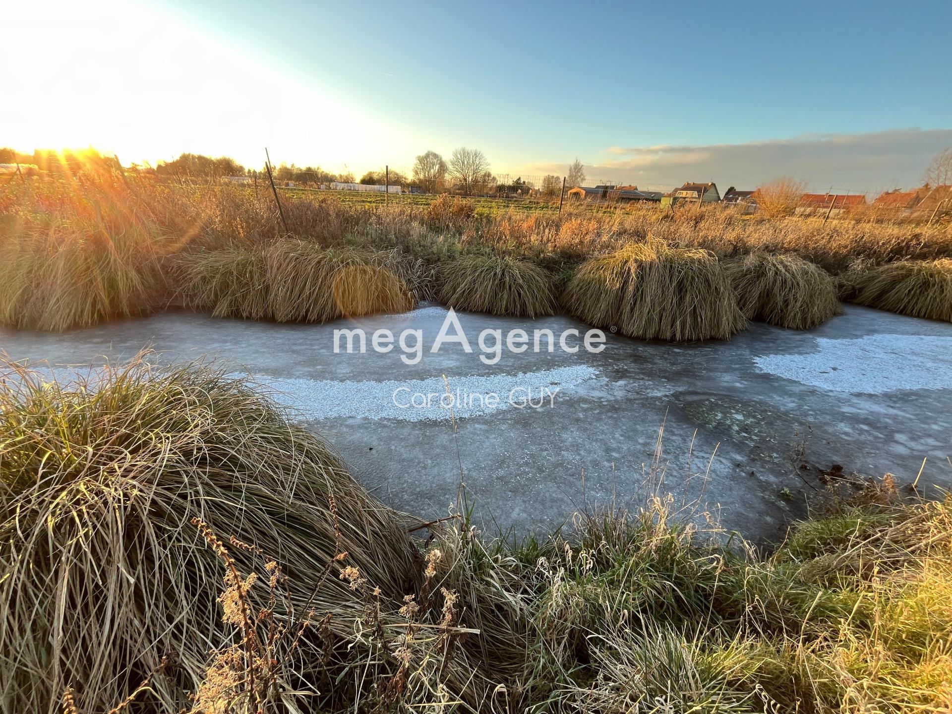 Miniature photo - 5 / 12