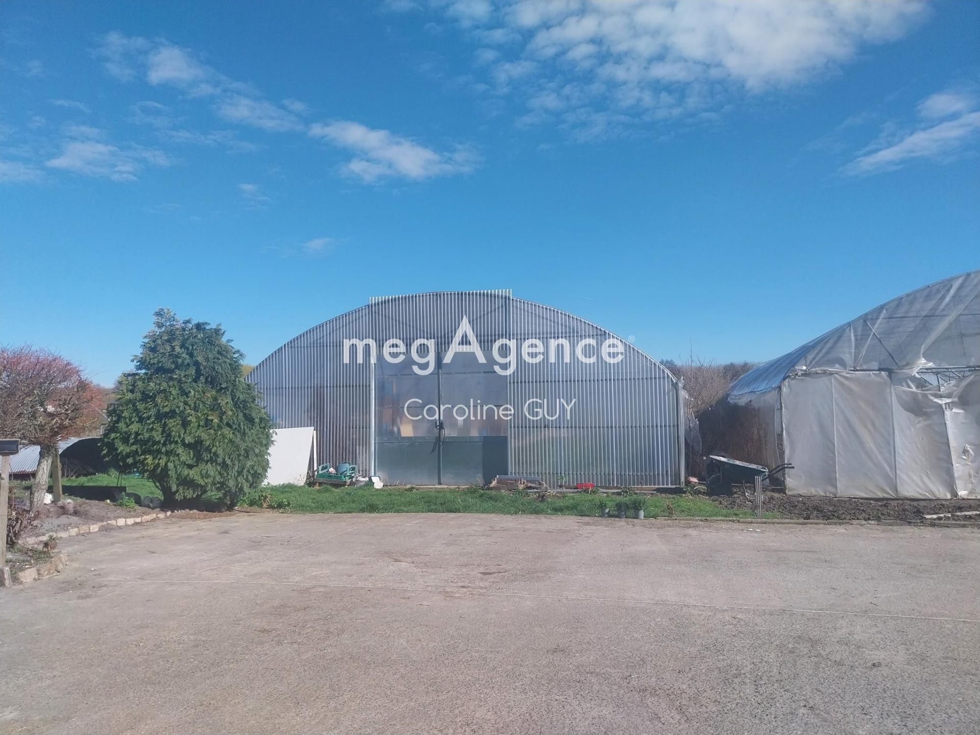 Miniature photo - 4 / 12