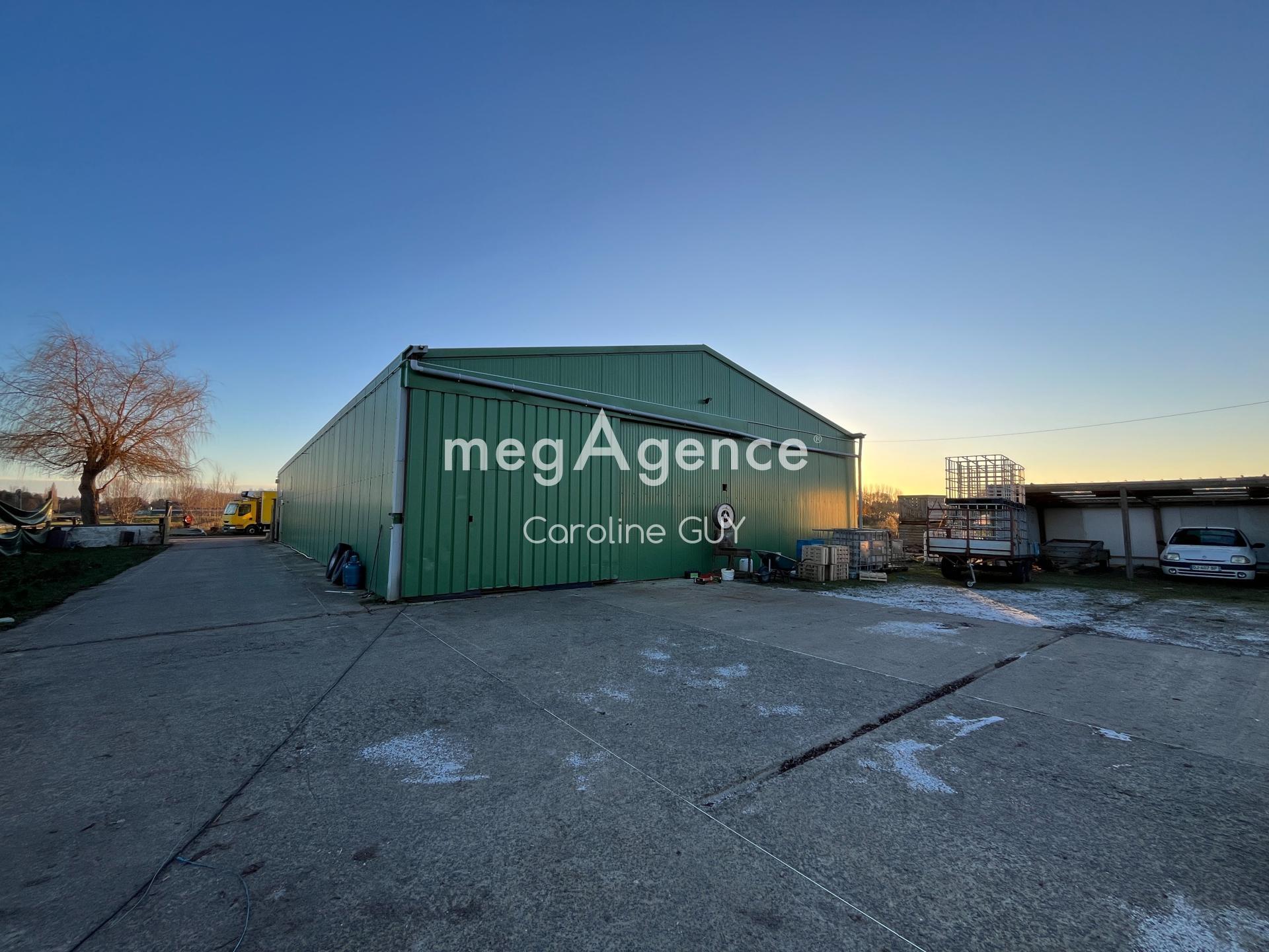 Miniature photo - 2 / 12