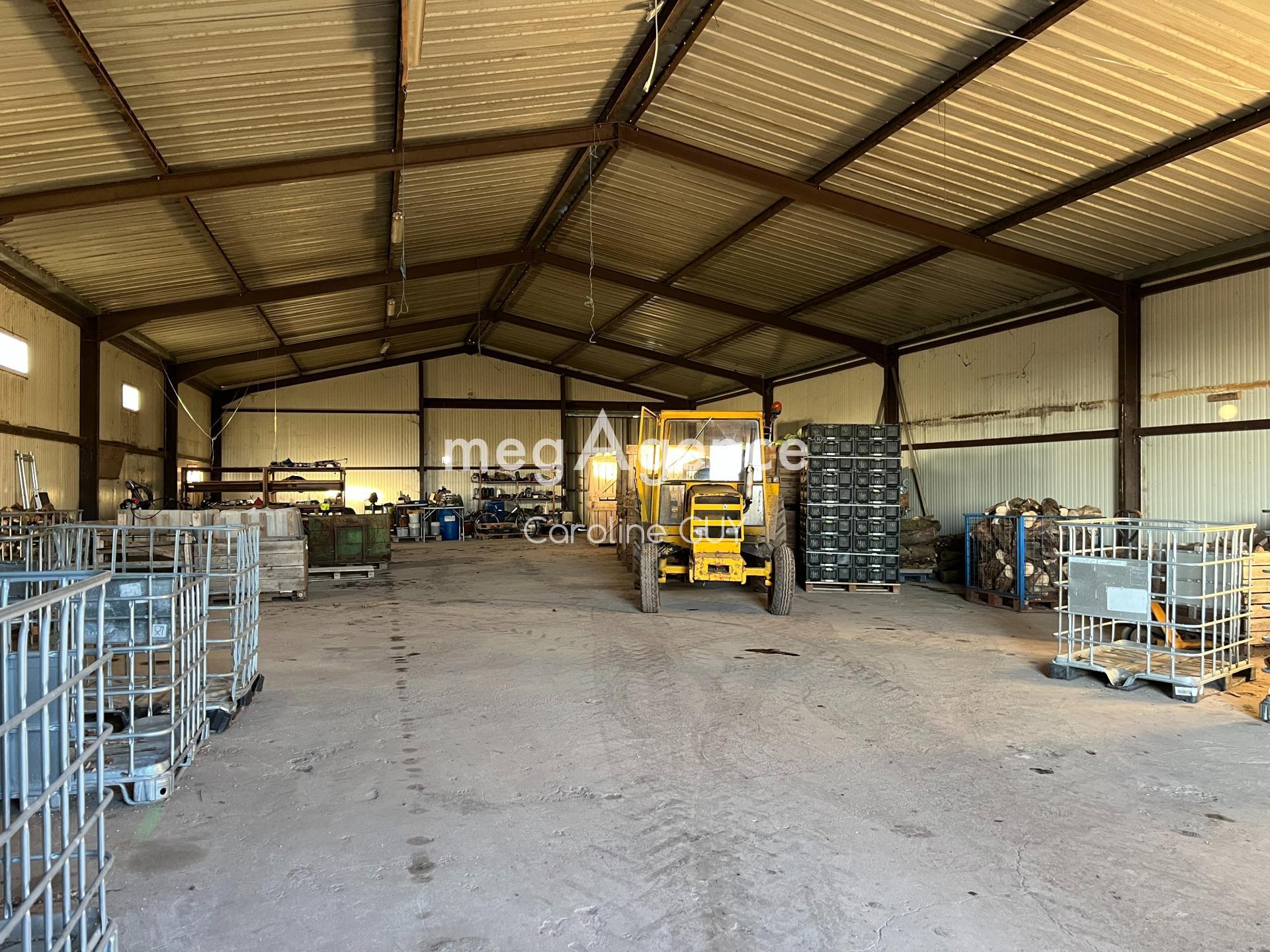 Miniature photo - 3 / 12