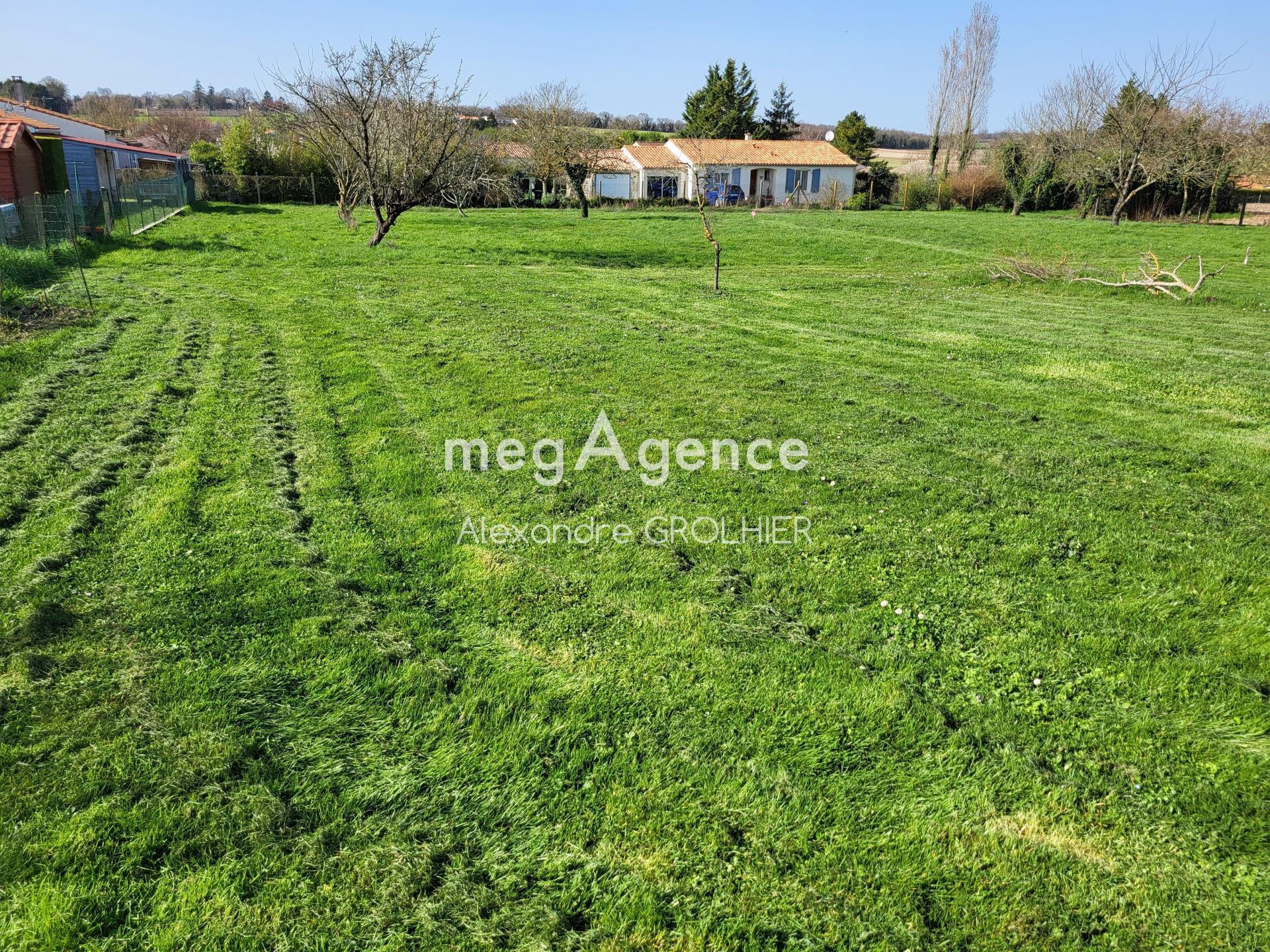 Miniature photo - 2 / 5