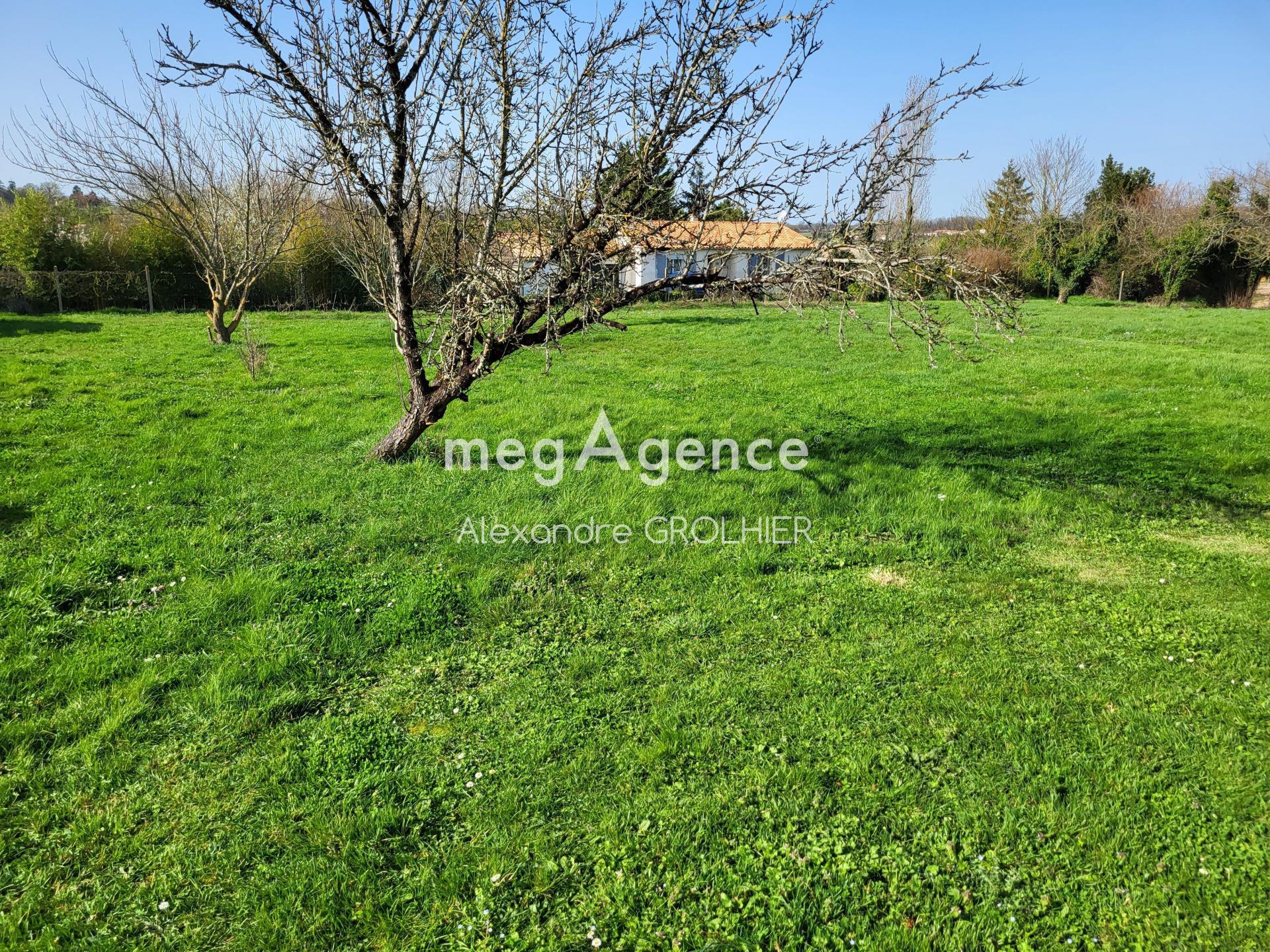 Miniature photo - 3 / 5