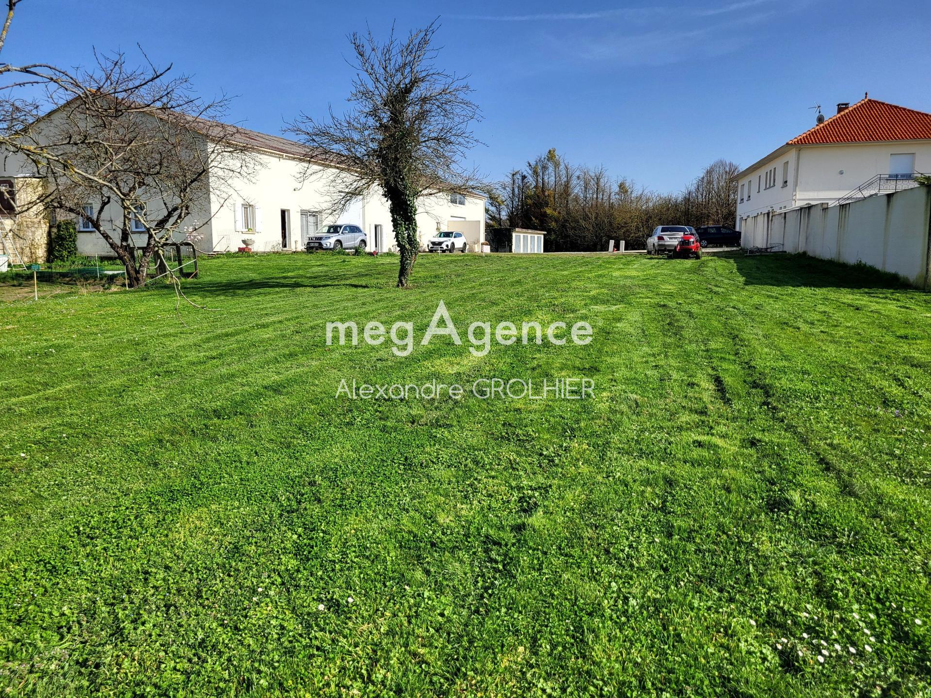 Miniature photo - 4 / 5