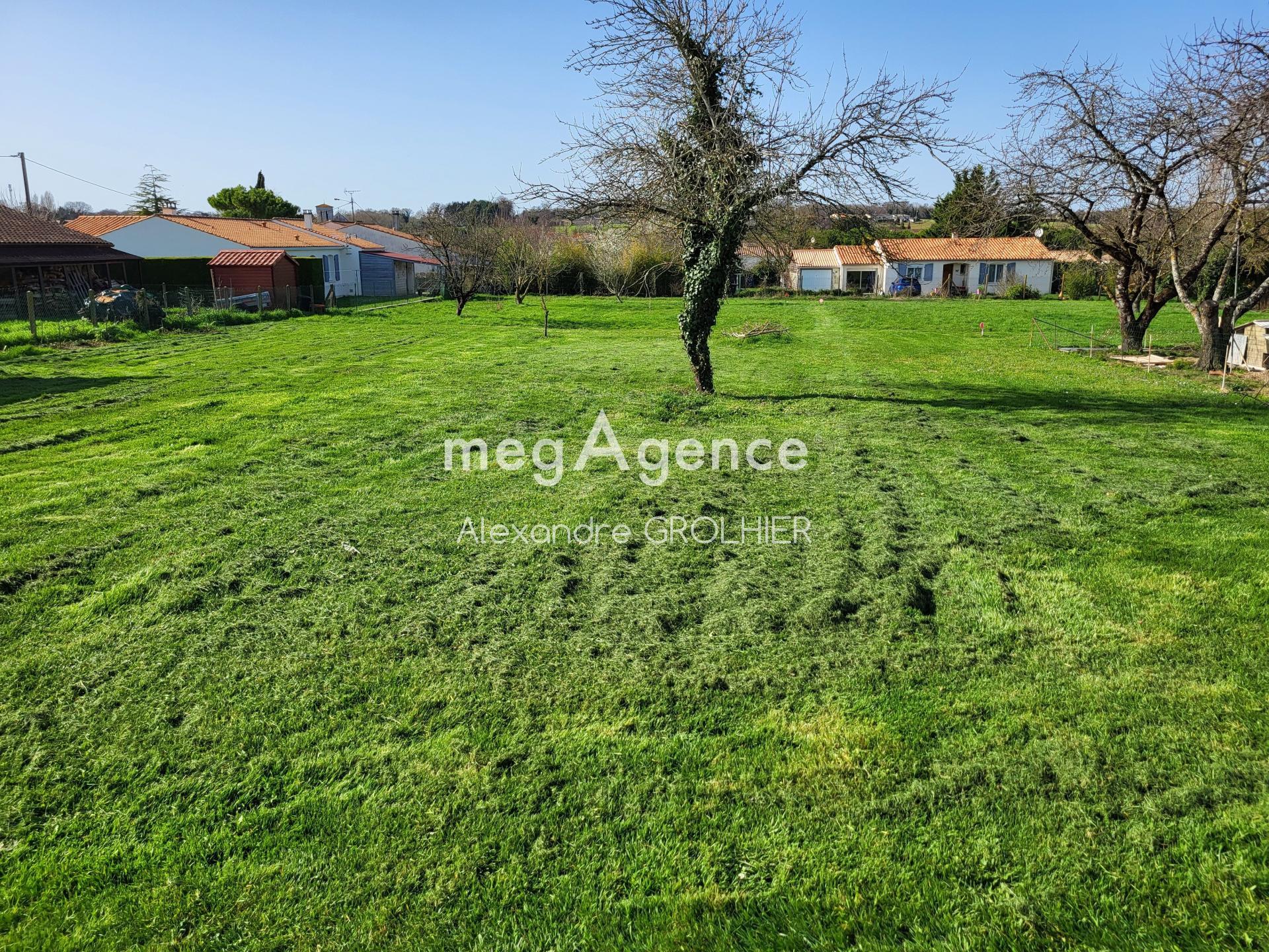 Photographie descriptive du bien