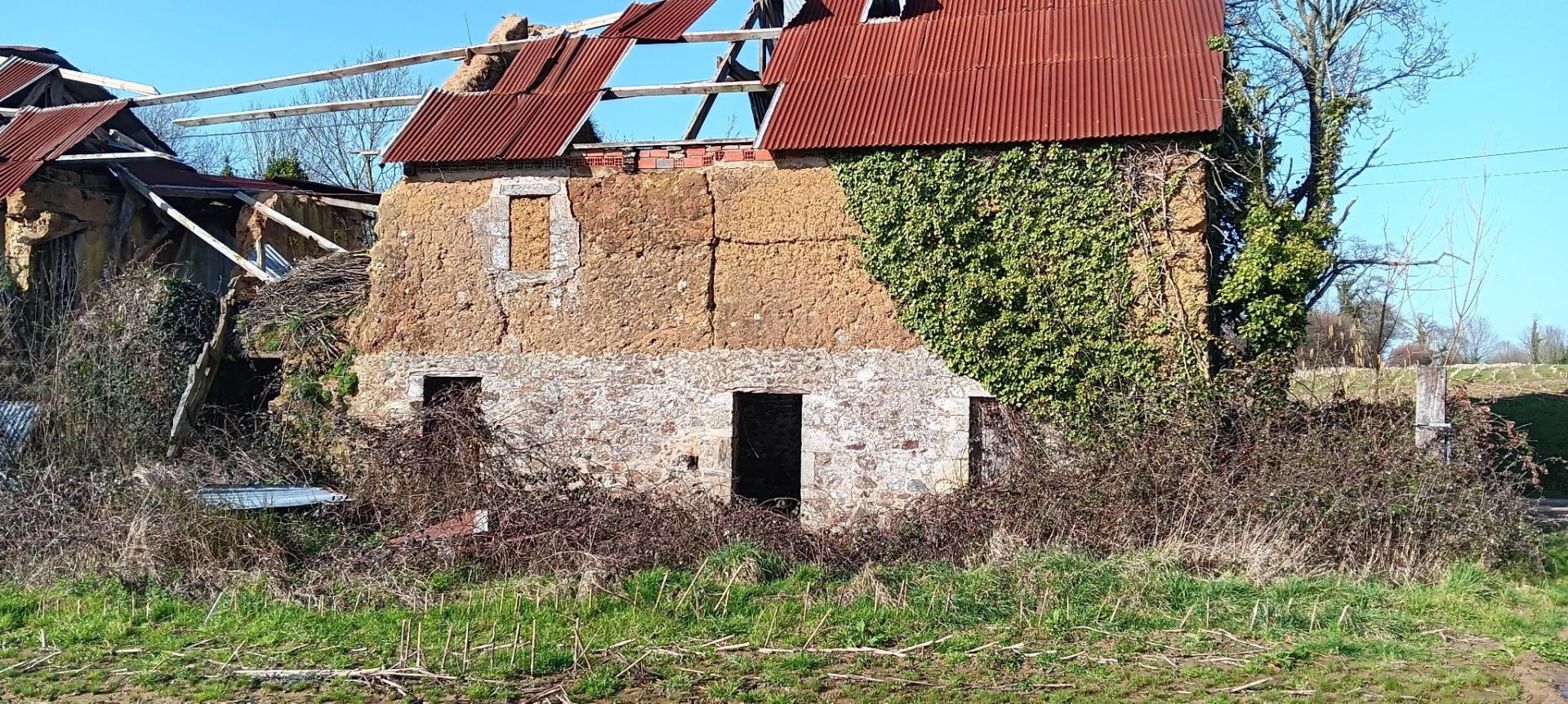 Miniature photo - 5 / 14