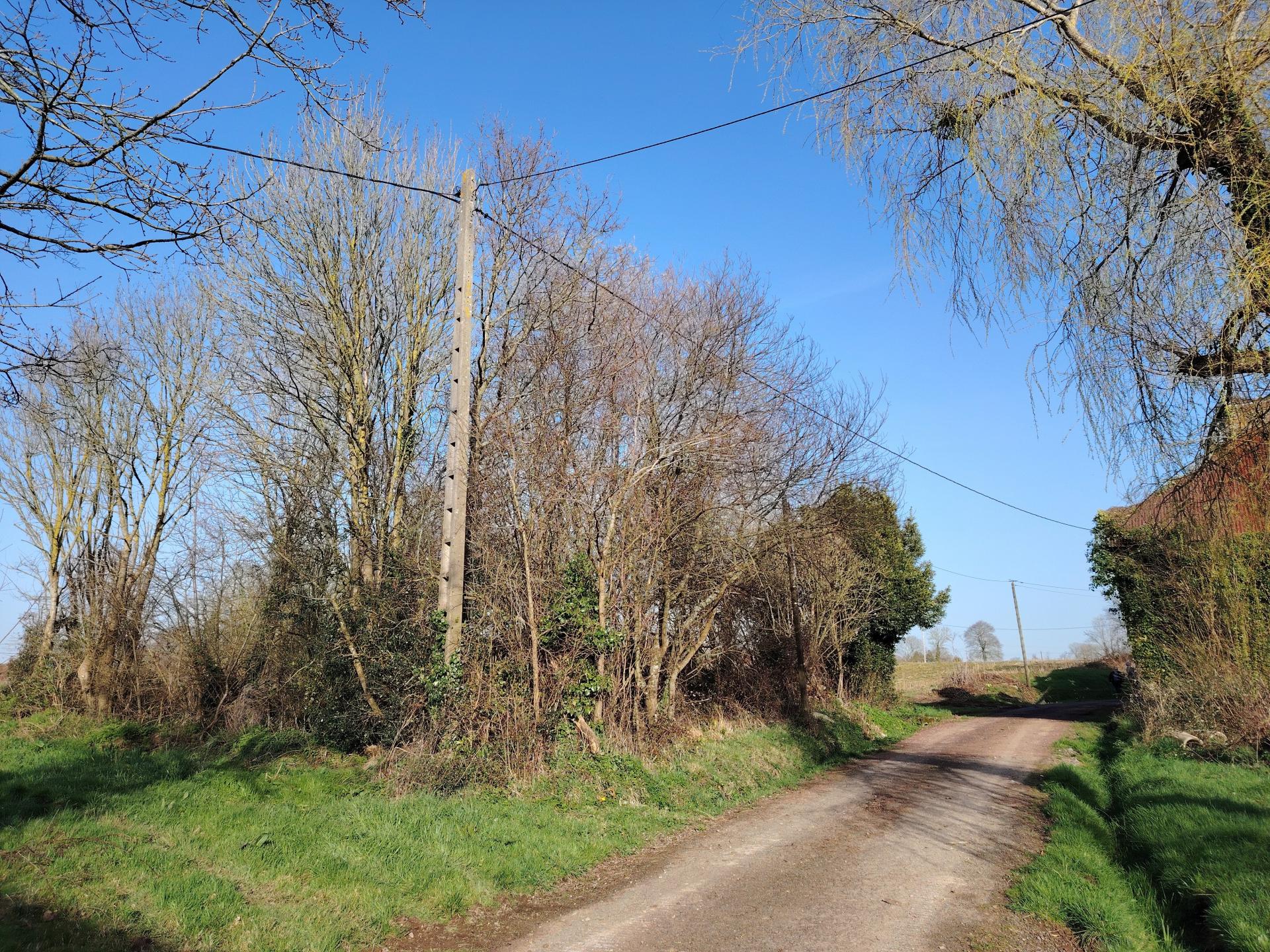 Miniature photo - 14 / 14