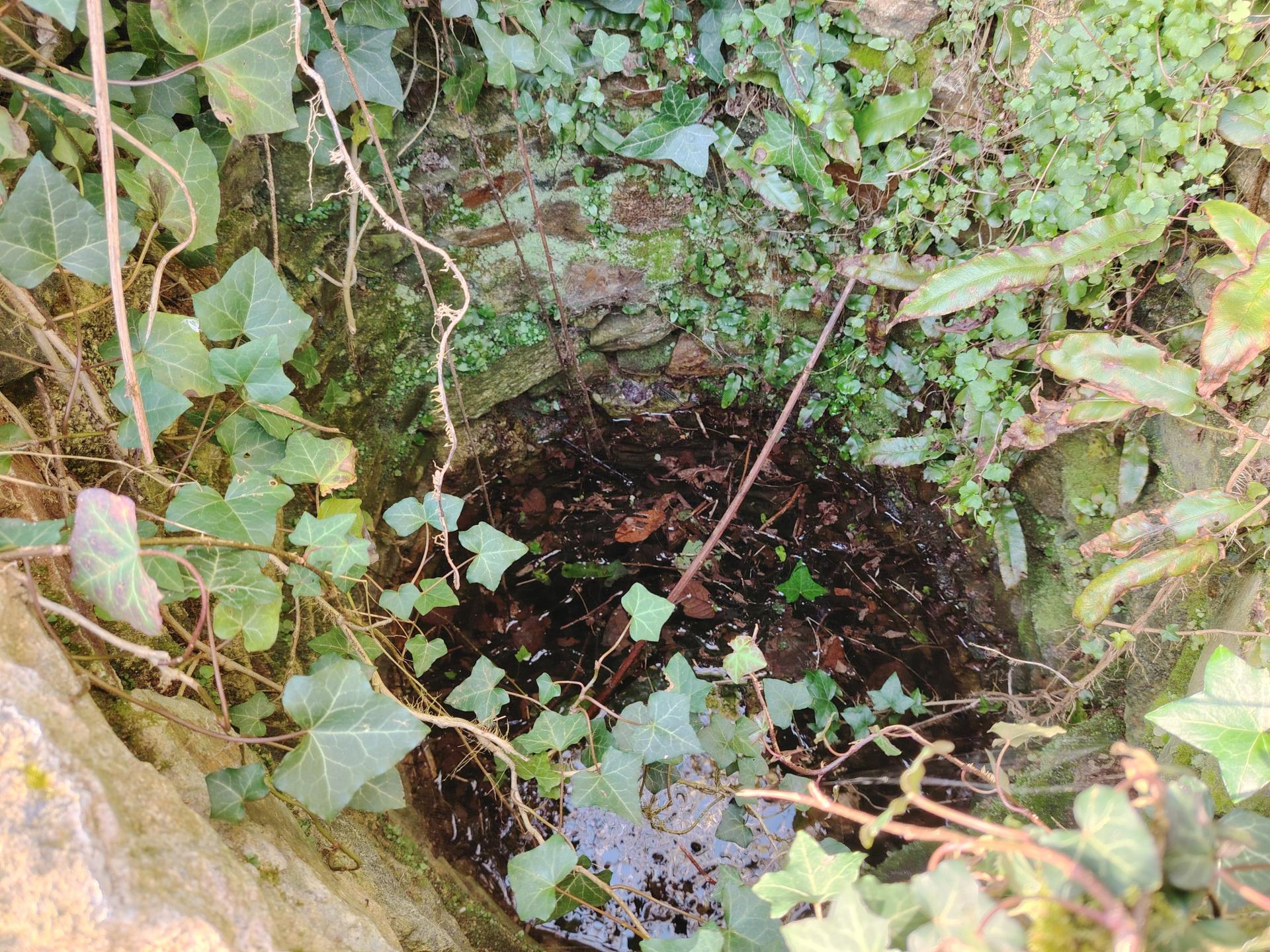 Miniature photo - 13 / 14