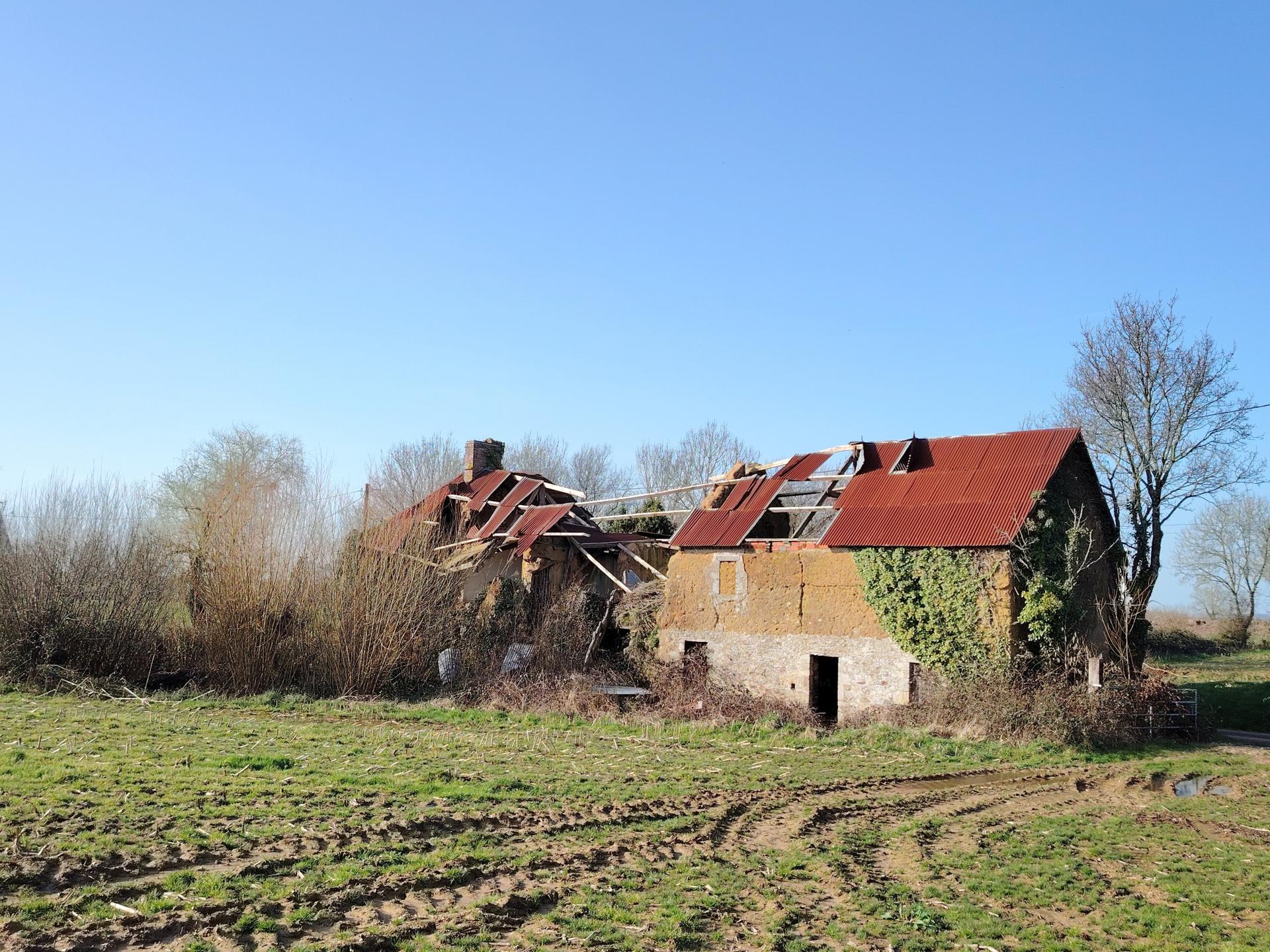 Miniature photo - 12 / 14