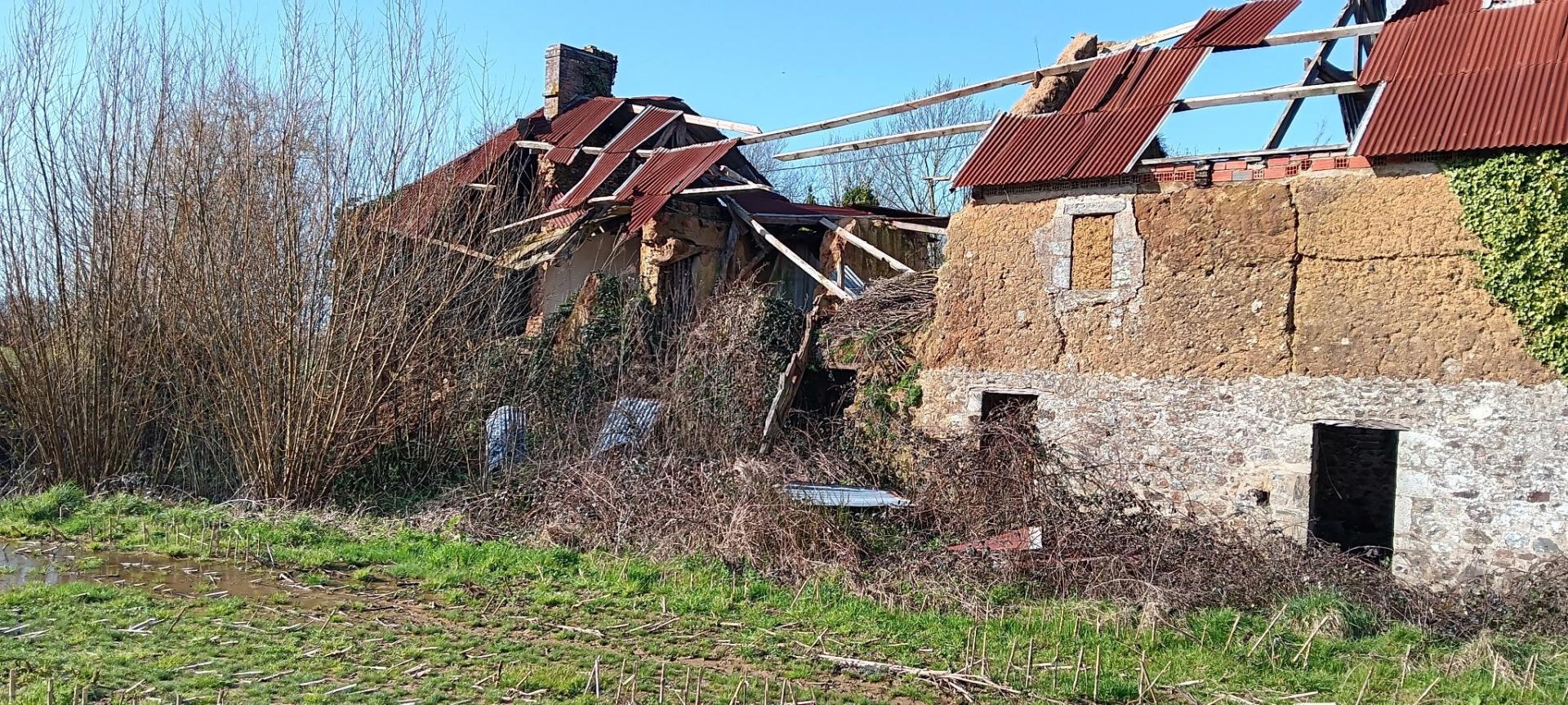 Miniature photo - 6 / 14