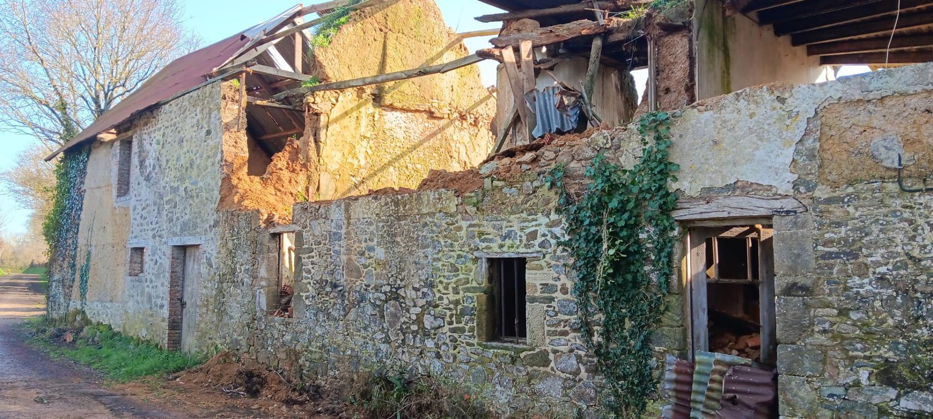 Miniature photo - 4 / 14