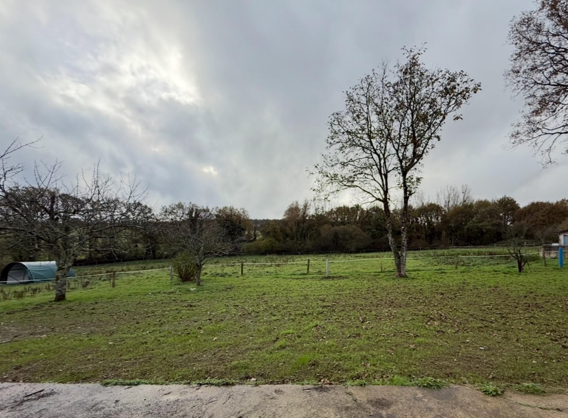 Miniature photo - 2 / 15